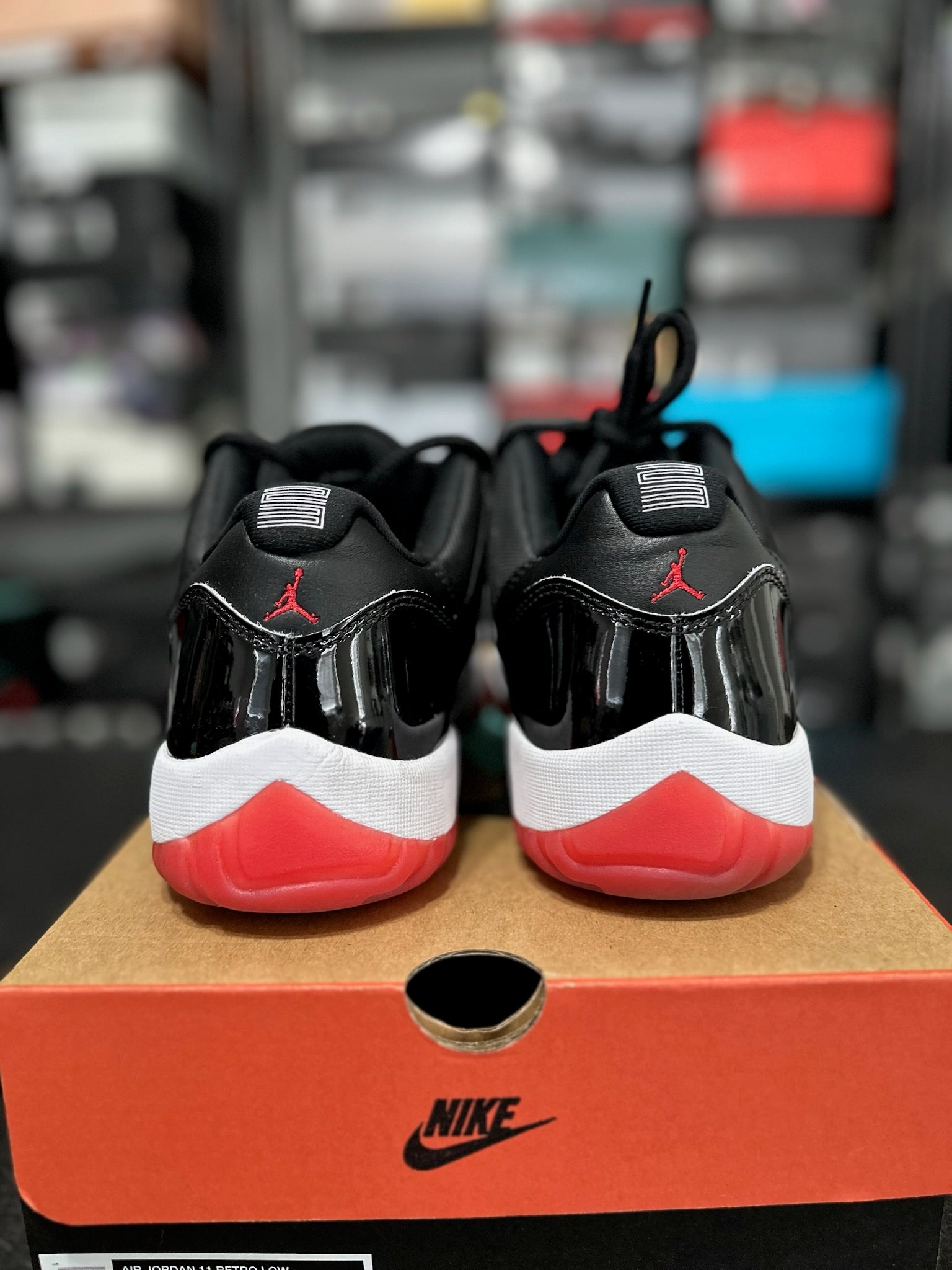 Size 11 - J11 Low Bred