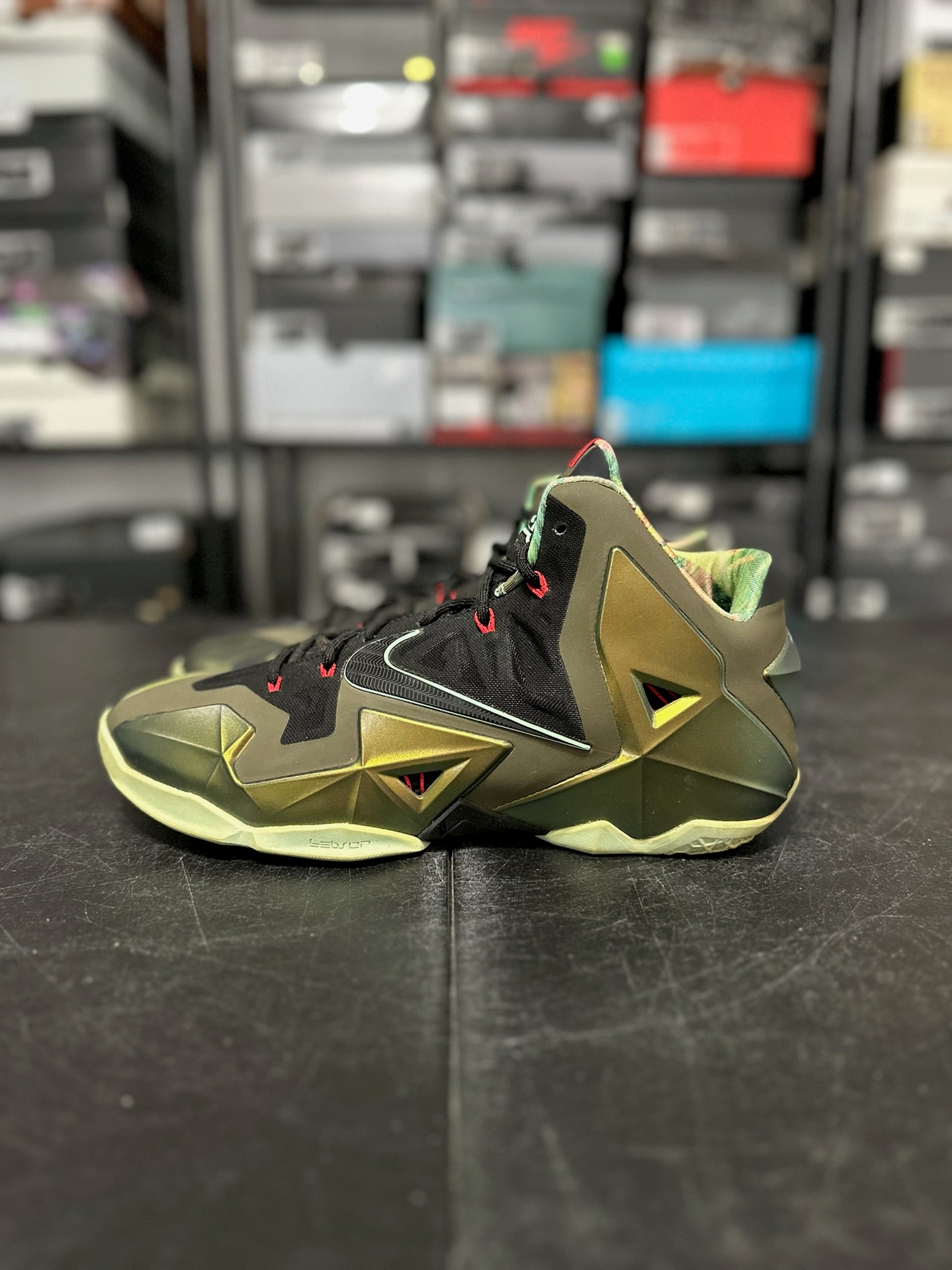 Size 12 - LeBron 11 Kings Pride