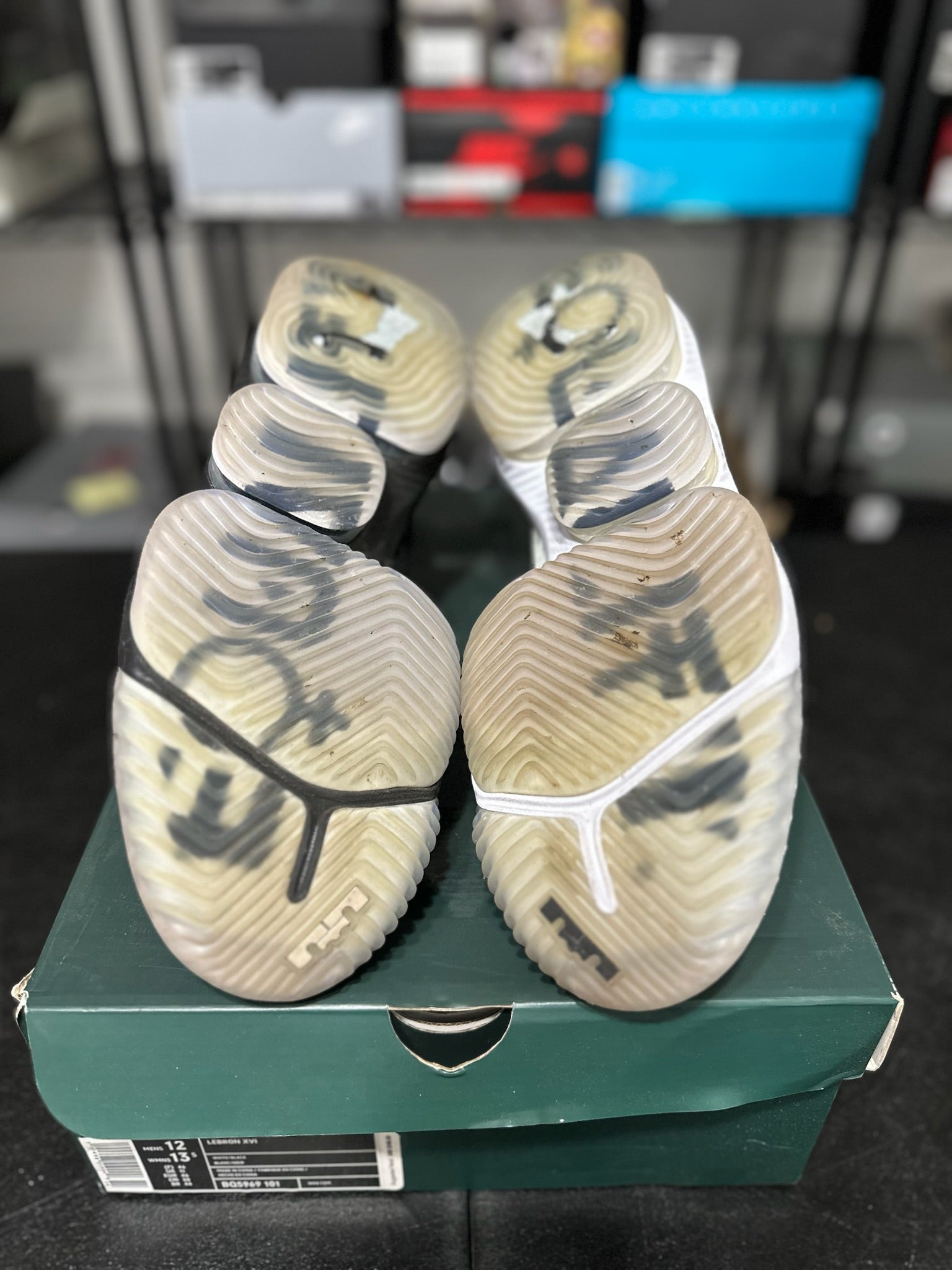 Size 12 - LeBron 16 Equality