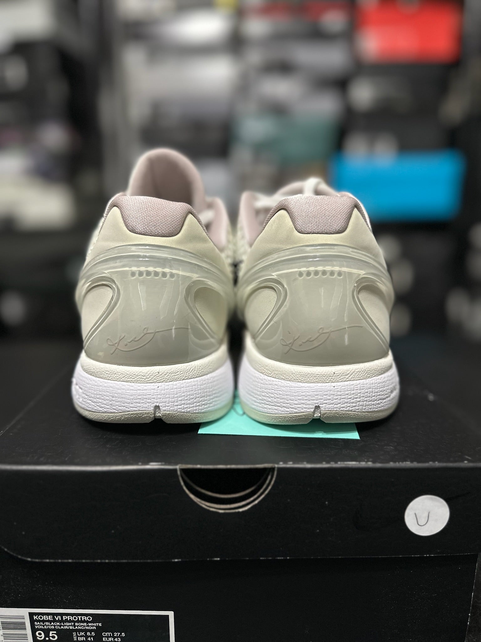 Size 9.5 - Kobe 6 Protro Sail All Star