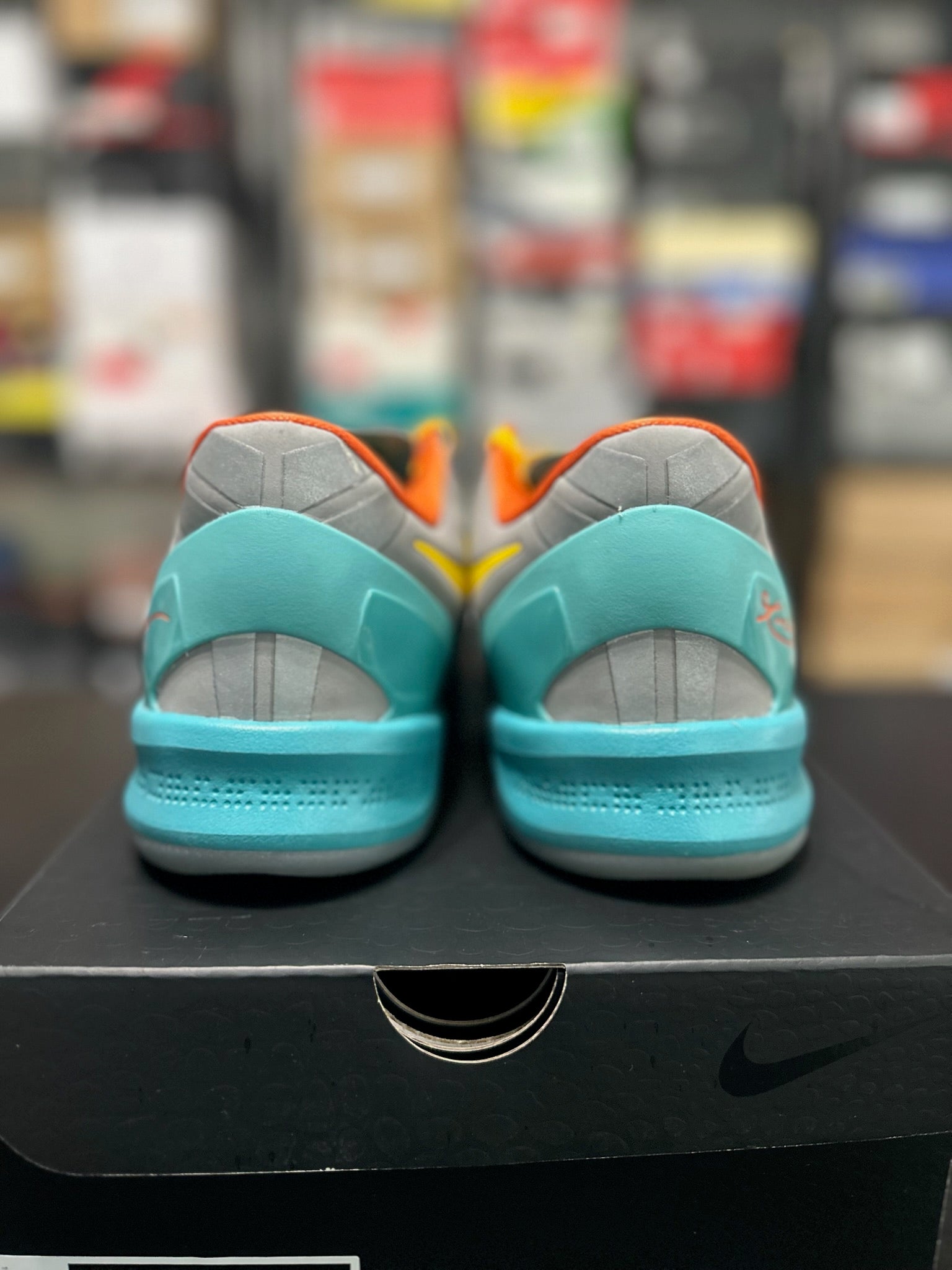 Size 10.5 - Kobe 8 Protro Venice Beach