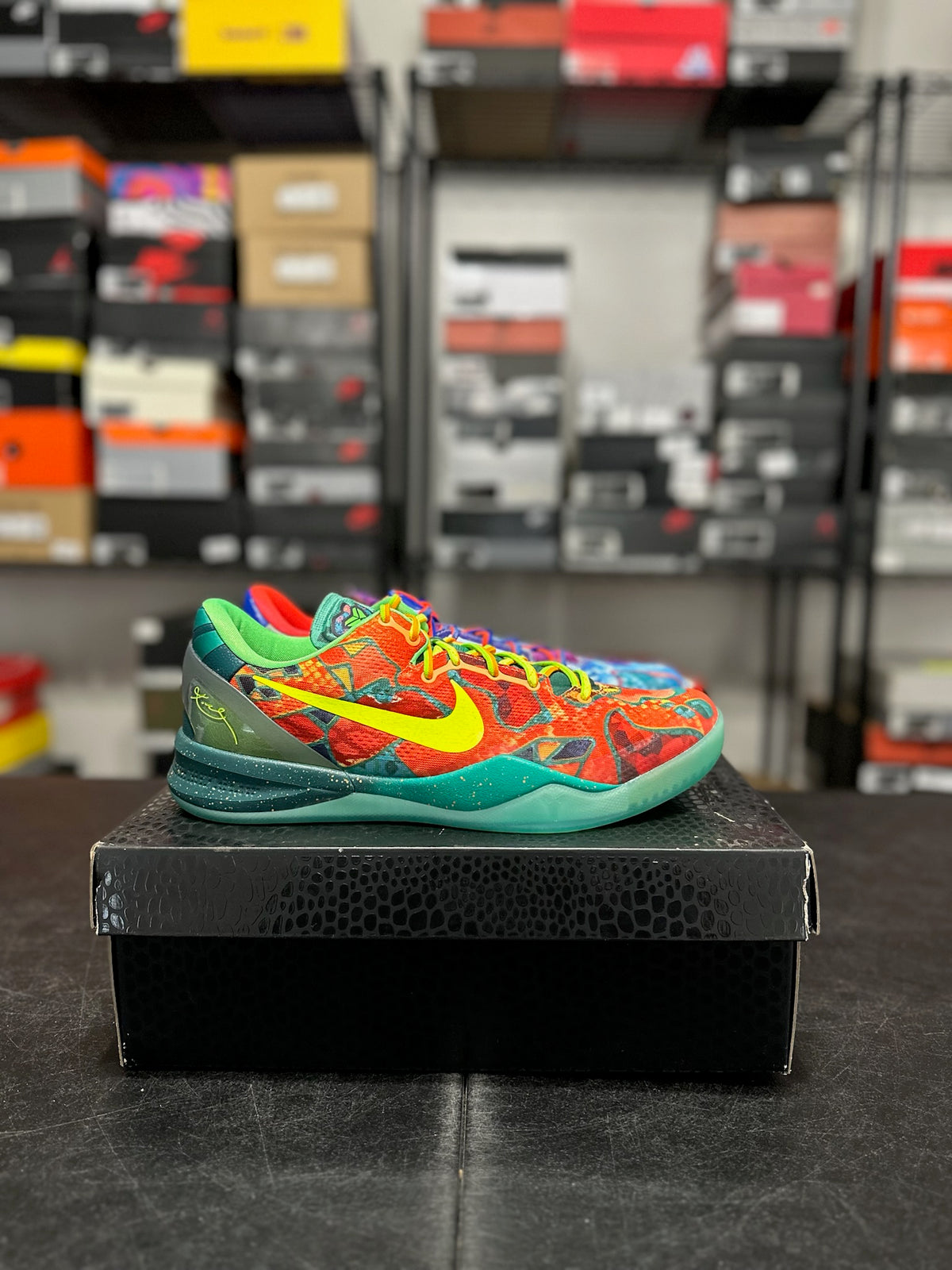 Size 13 - Kobe 8 what the