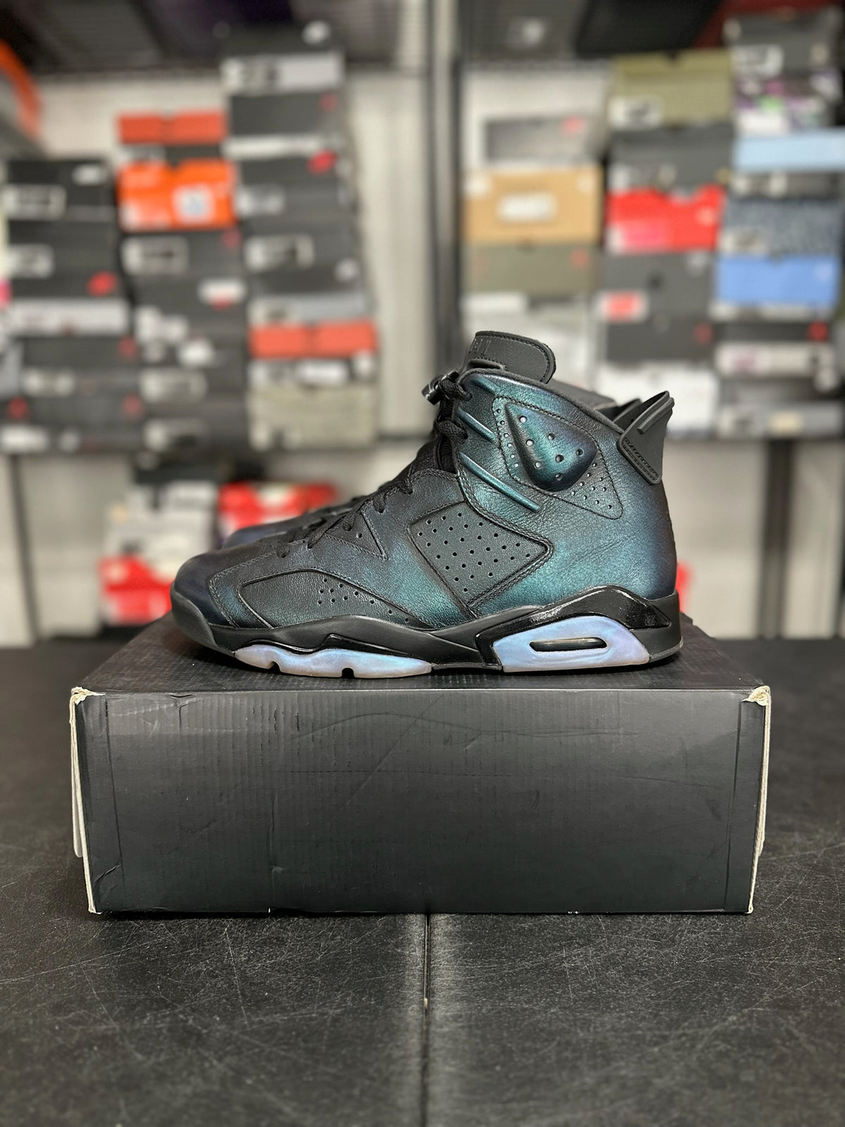 Size 12 - j6 all star chameleon
