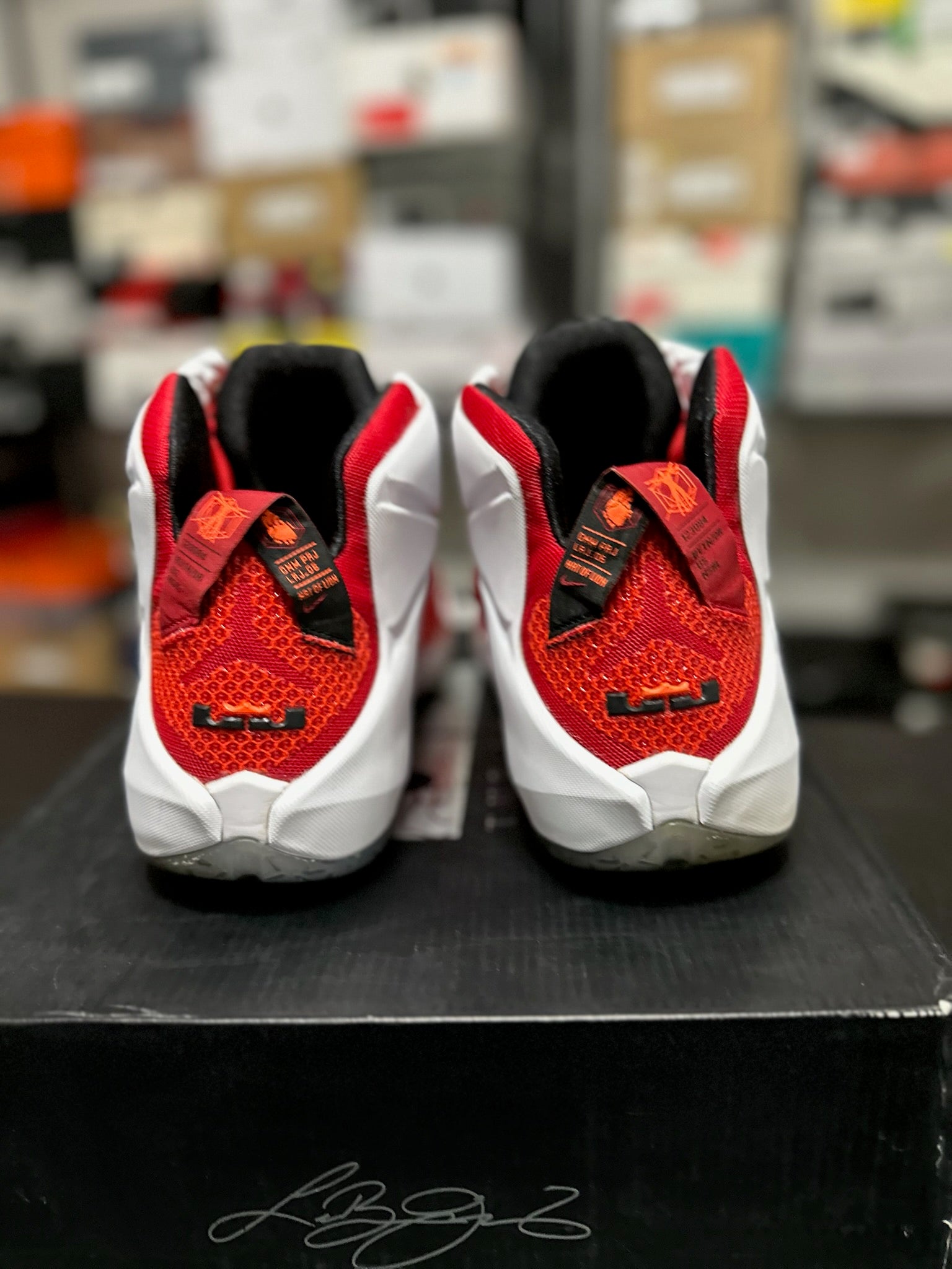 Size 13 - LeBron 12 Heart of a Lion