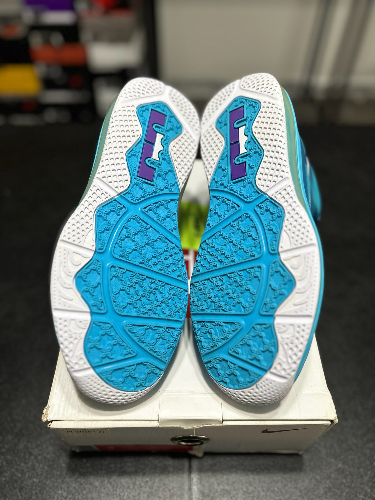 Size 9 - LeBron 9 low summit lake hornets