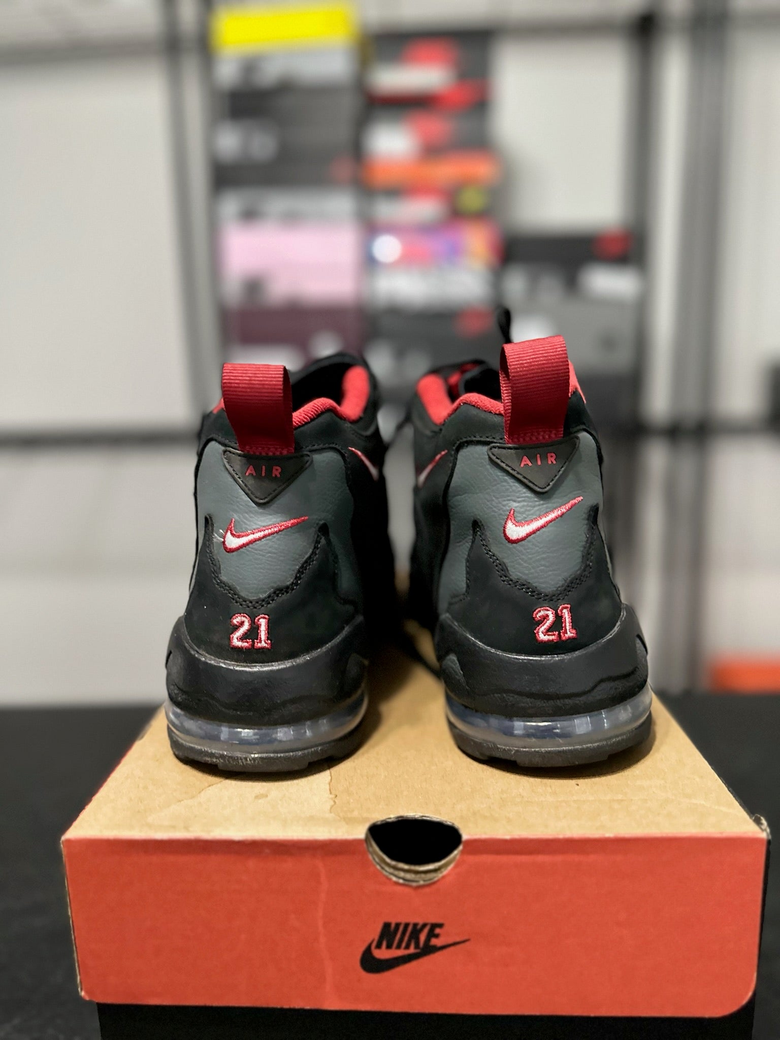 Size 13 - Nike Air DT Max ‘96 Falcons