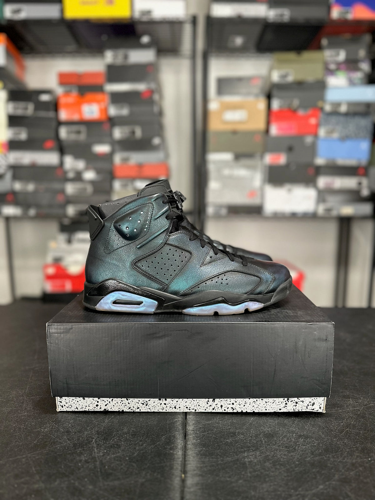 Size 12 - j6 all star chameleon