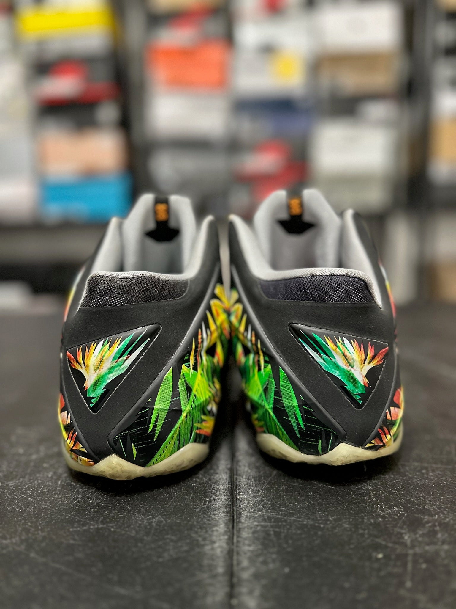 Size 10 - LeBron 11 Everglades