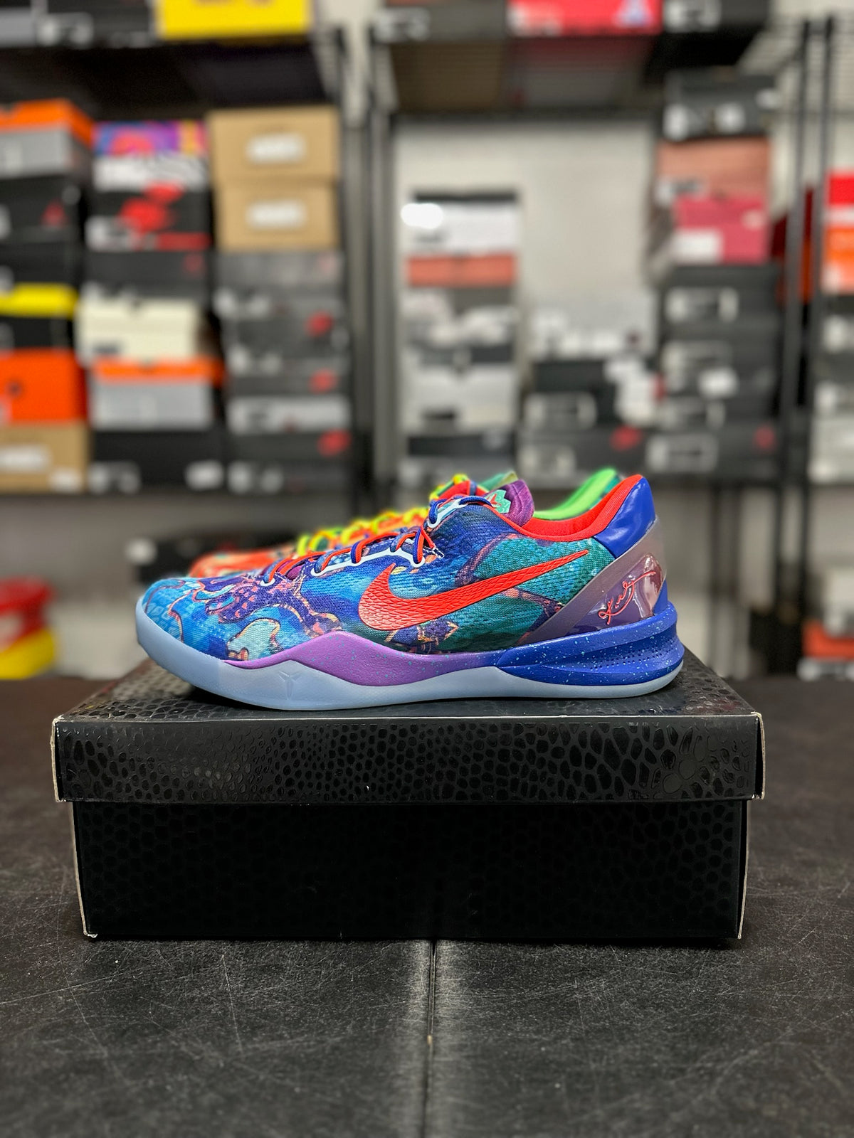 Size 13 - Kobe 8 what the