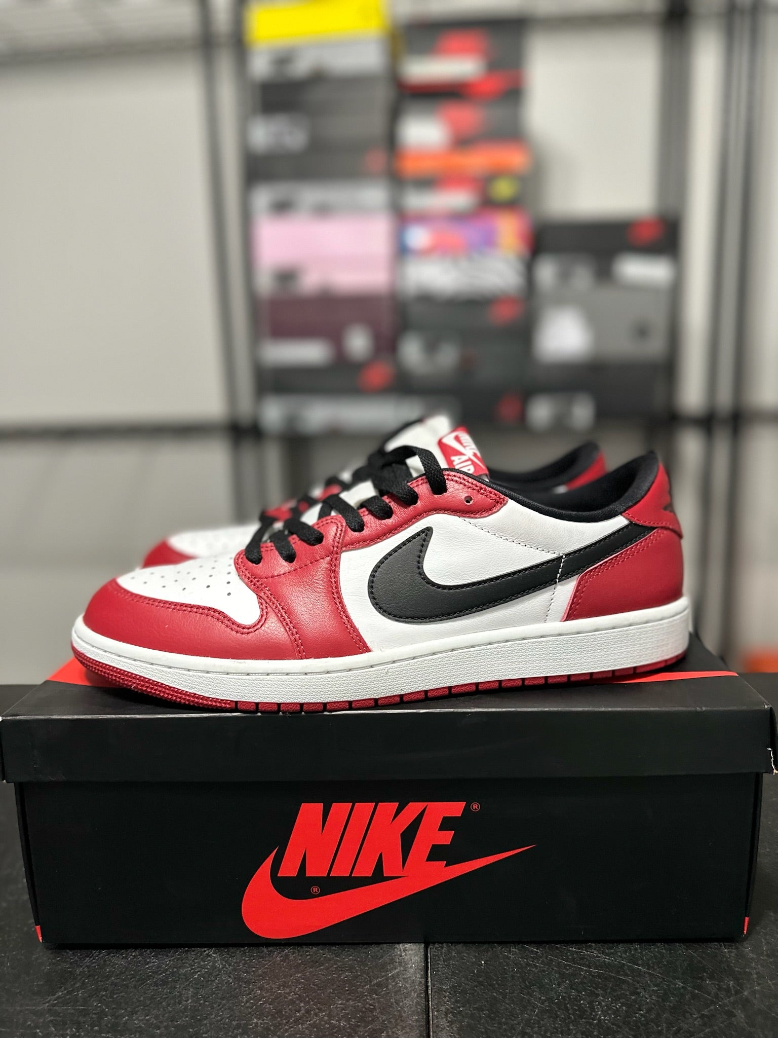 Size 13 - J1 Low Chicago