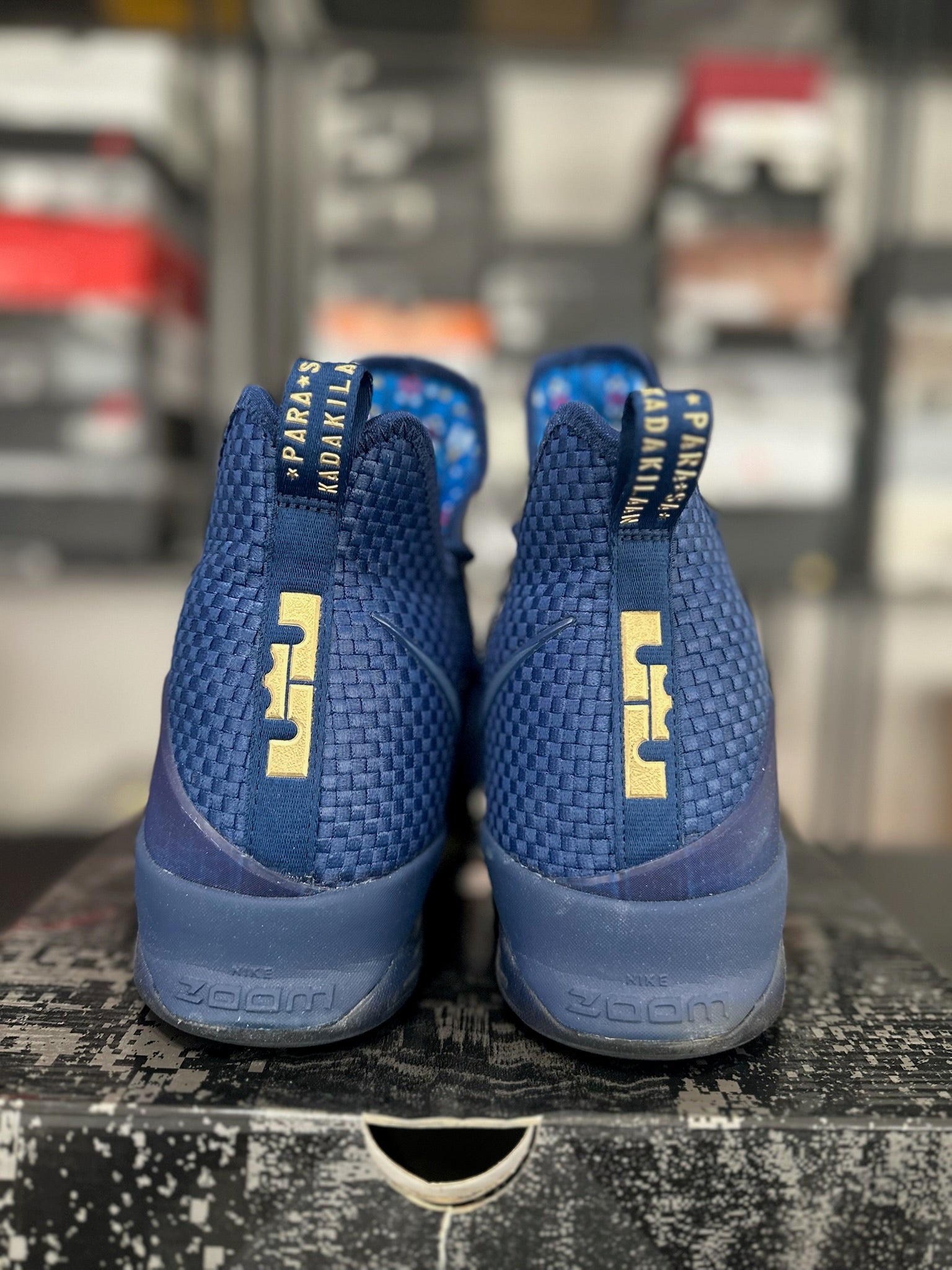 Size 14 - LeBron 14 Agimat