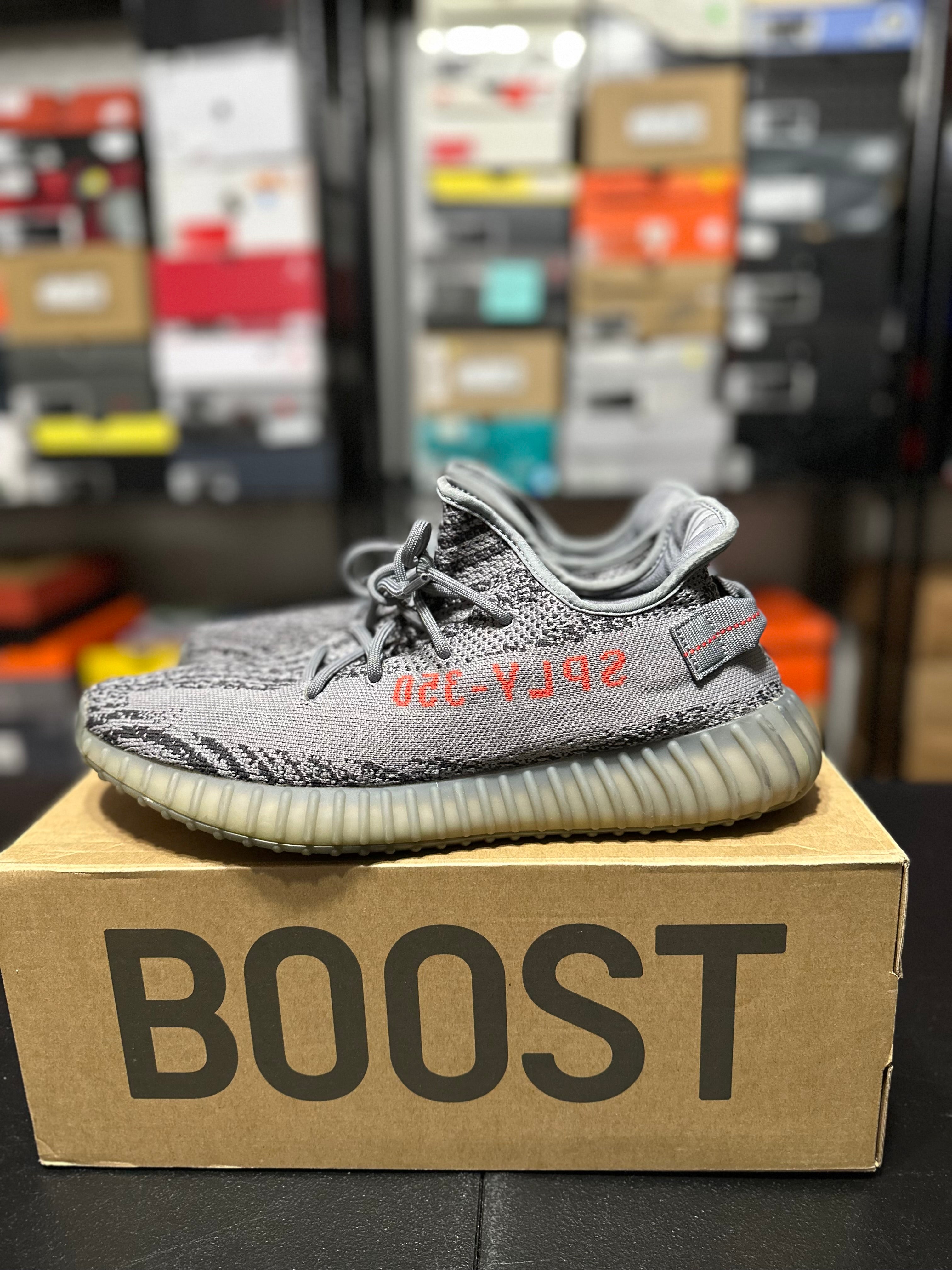 Size 12 - YZY beluga 2.0