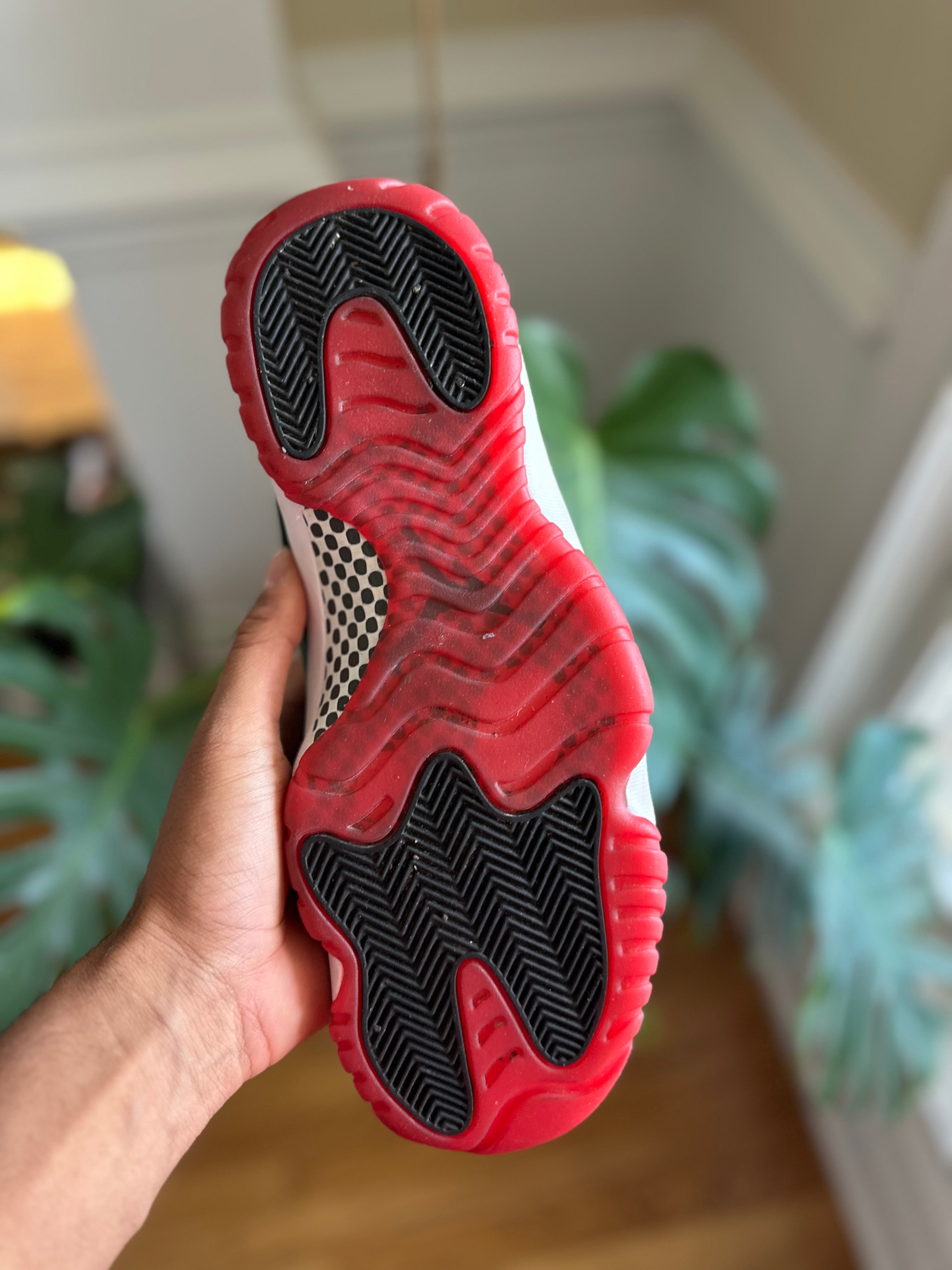 Size 11.5 - J11 high bred