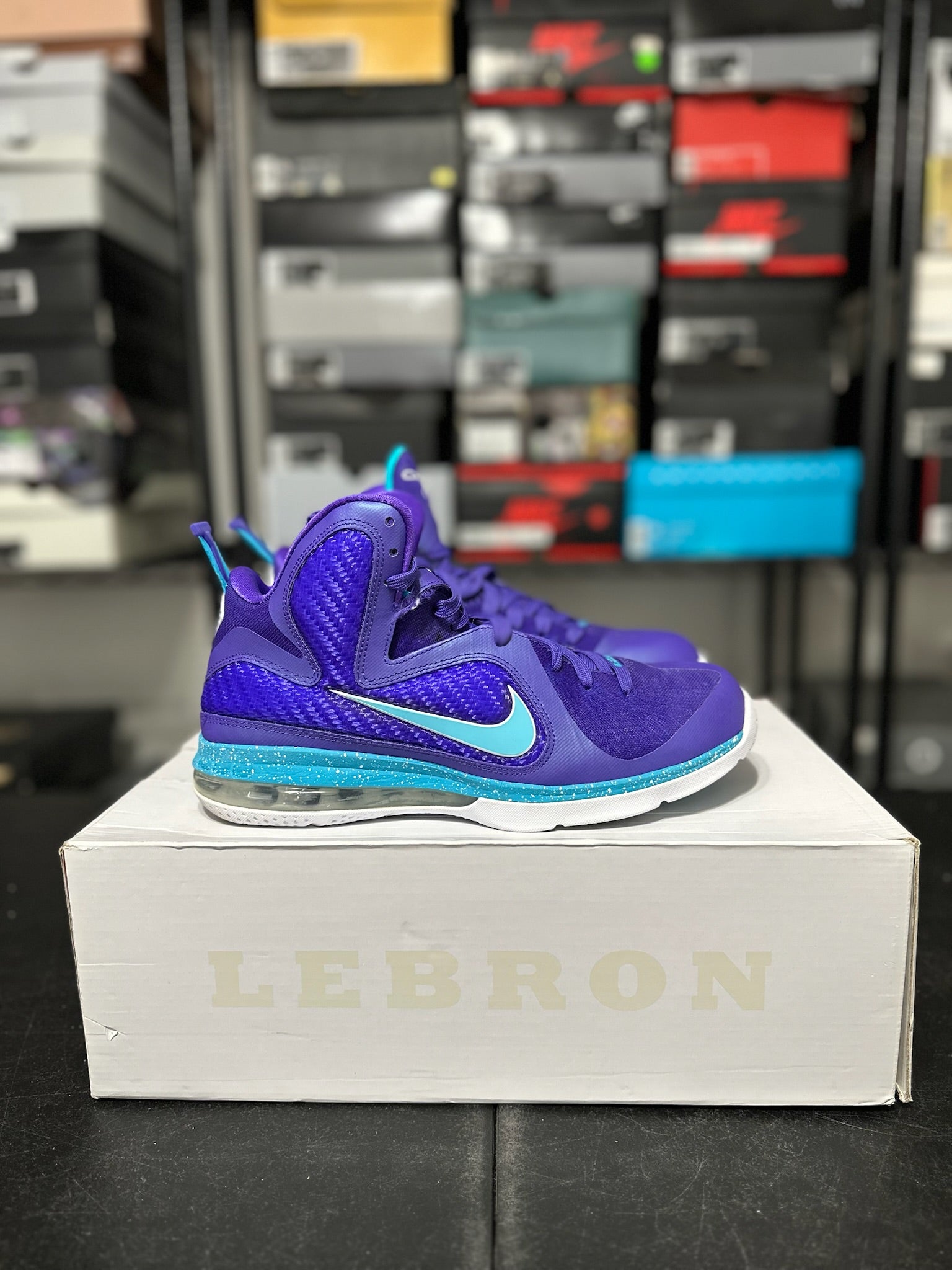 Size 9.5 - LeBron 9 Summit Lake Hornets