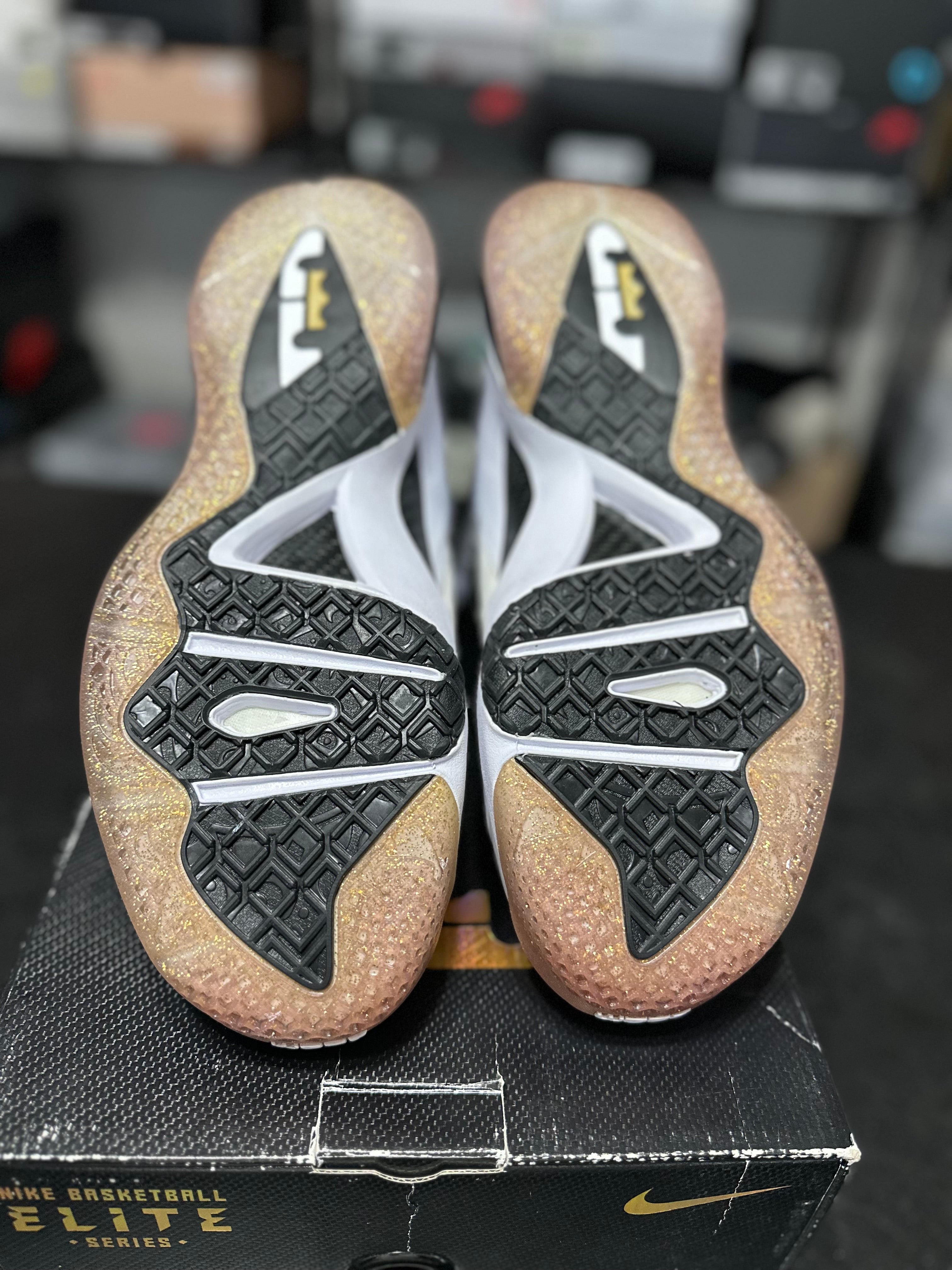 Size 11 - LeBron 9 elite home