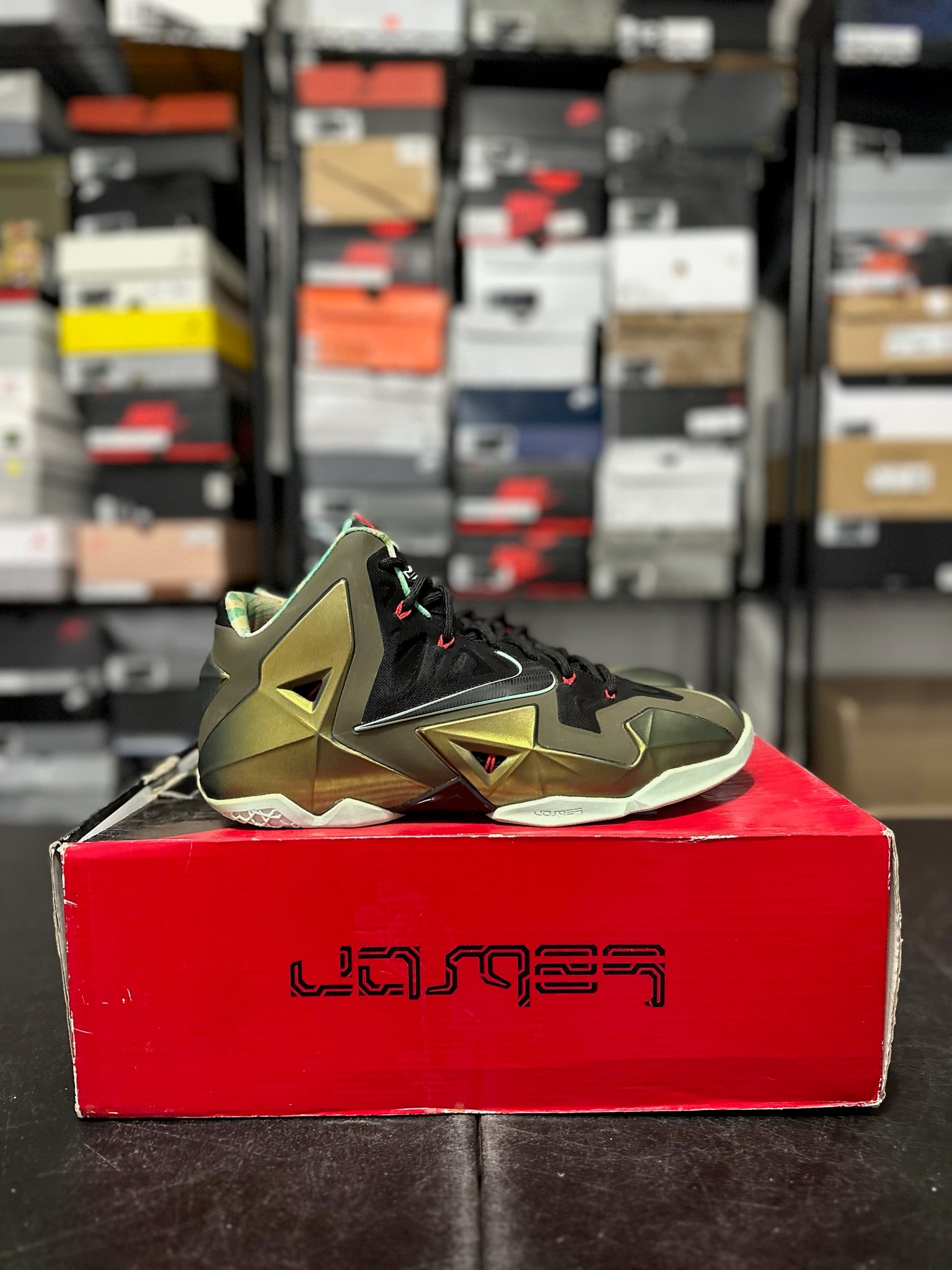 Size 11.5 - LeBron 11 King’s Pride