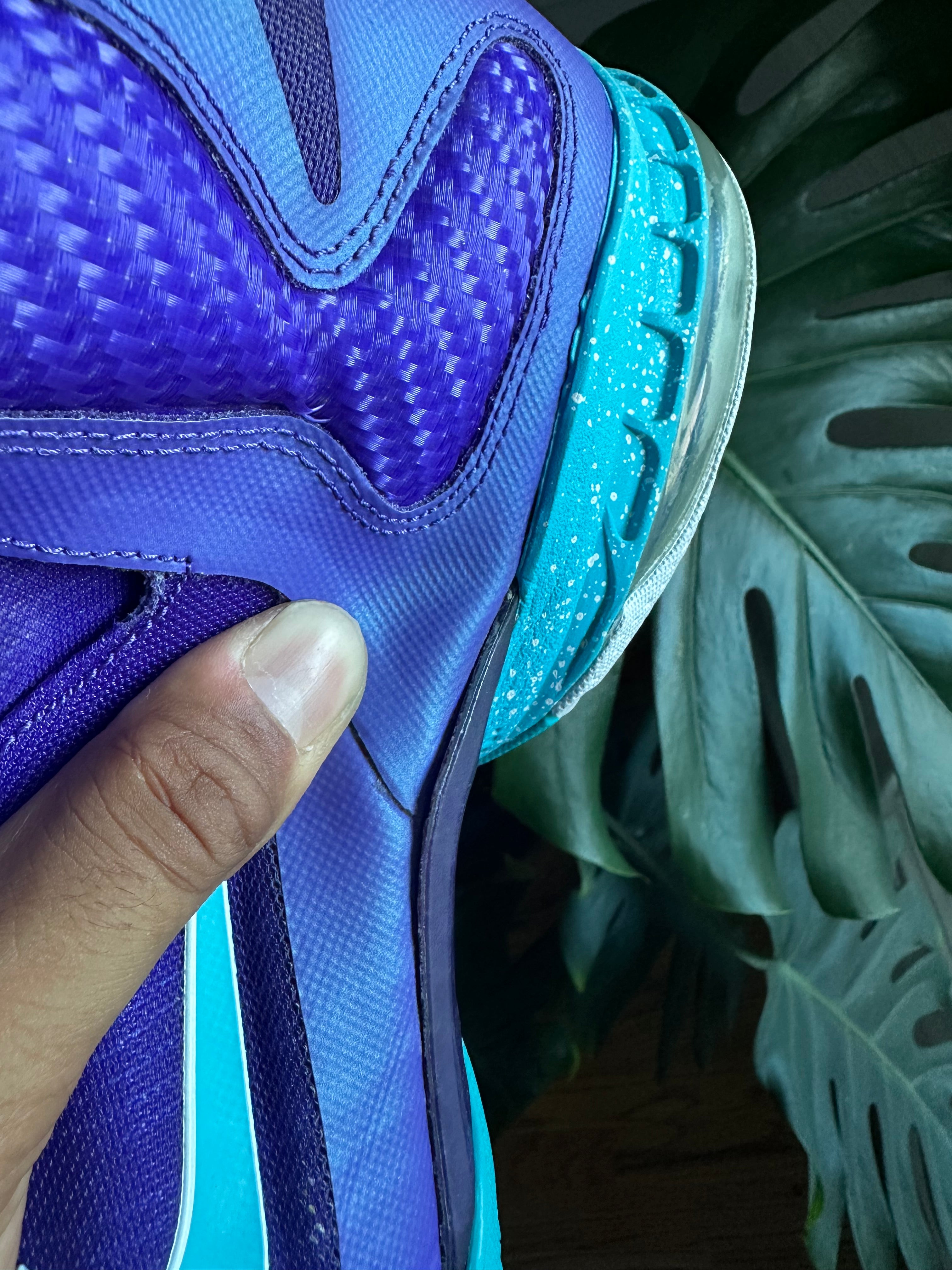 Size 9.5 - LeBron 9 hornets