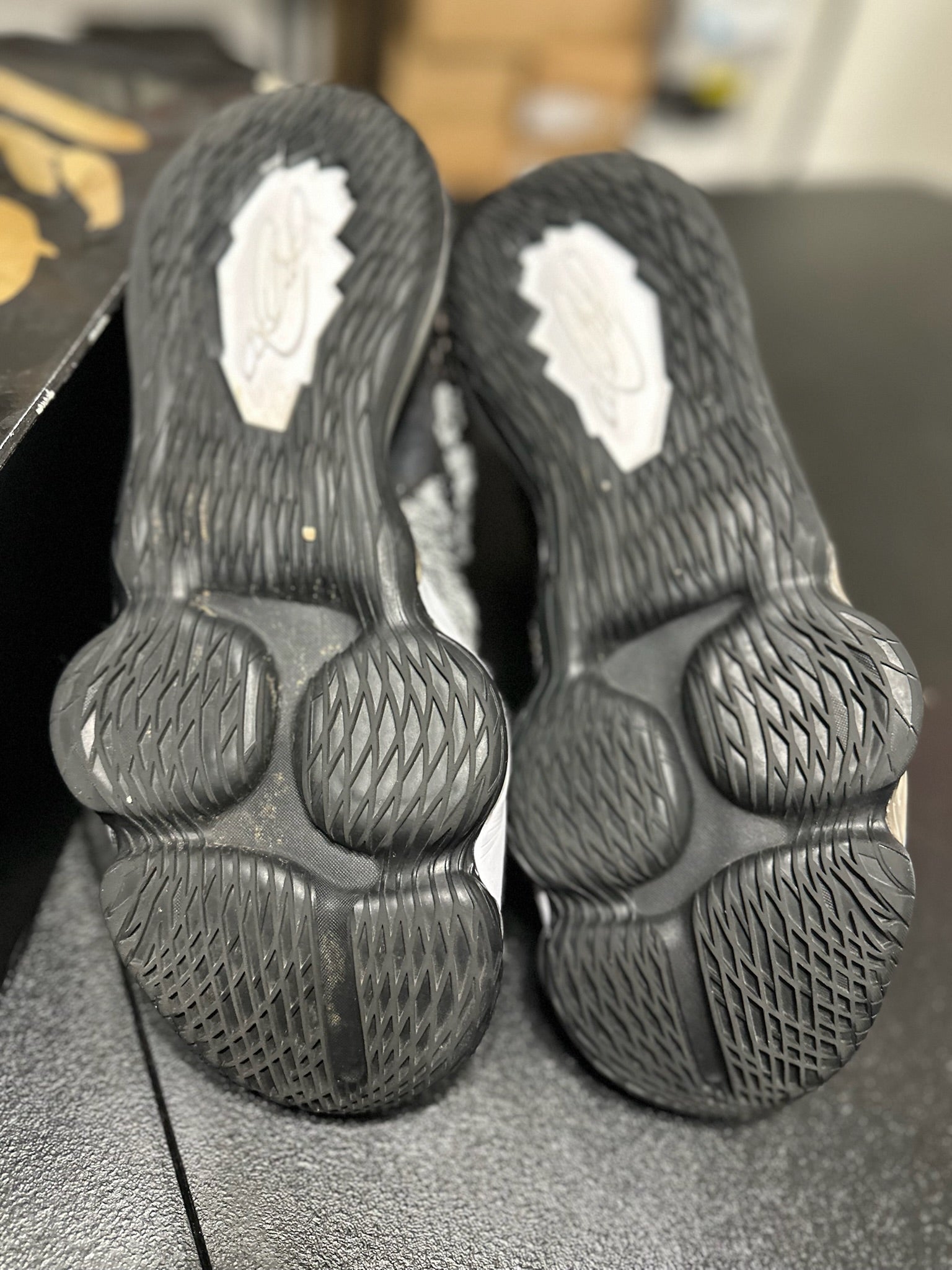 Size 12 - LeBron 17 Black White