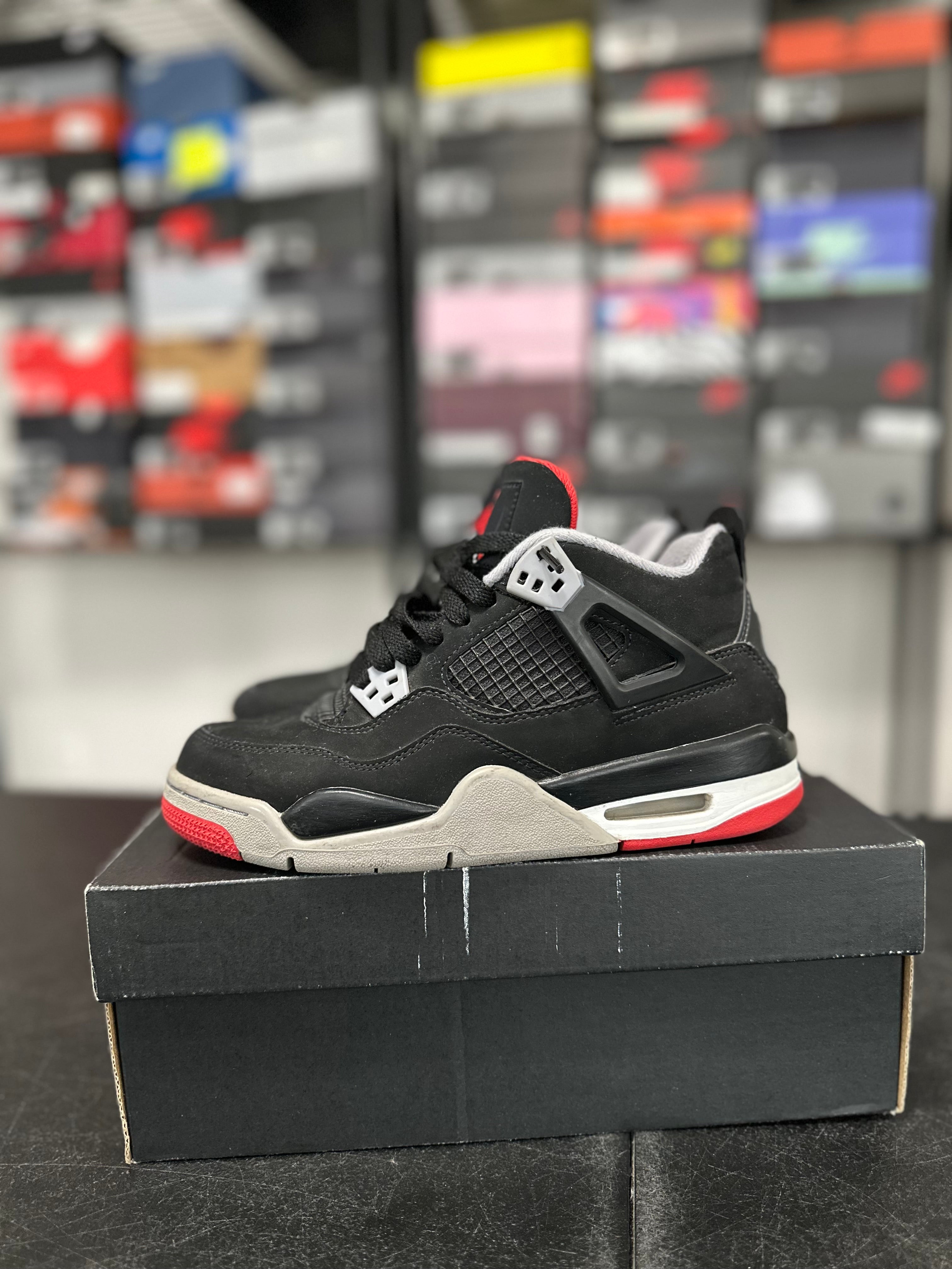 Size 5y - J4 bred 2016