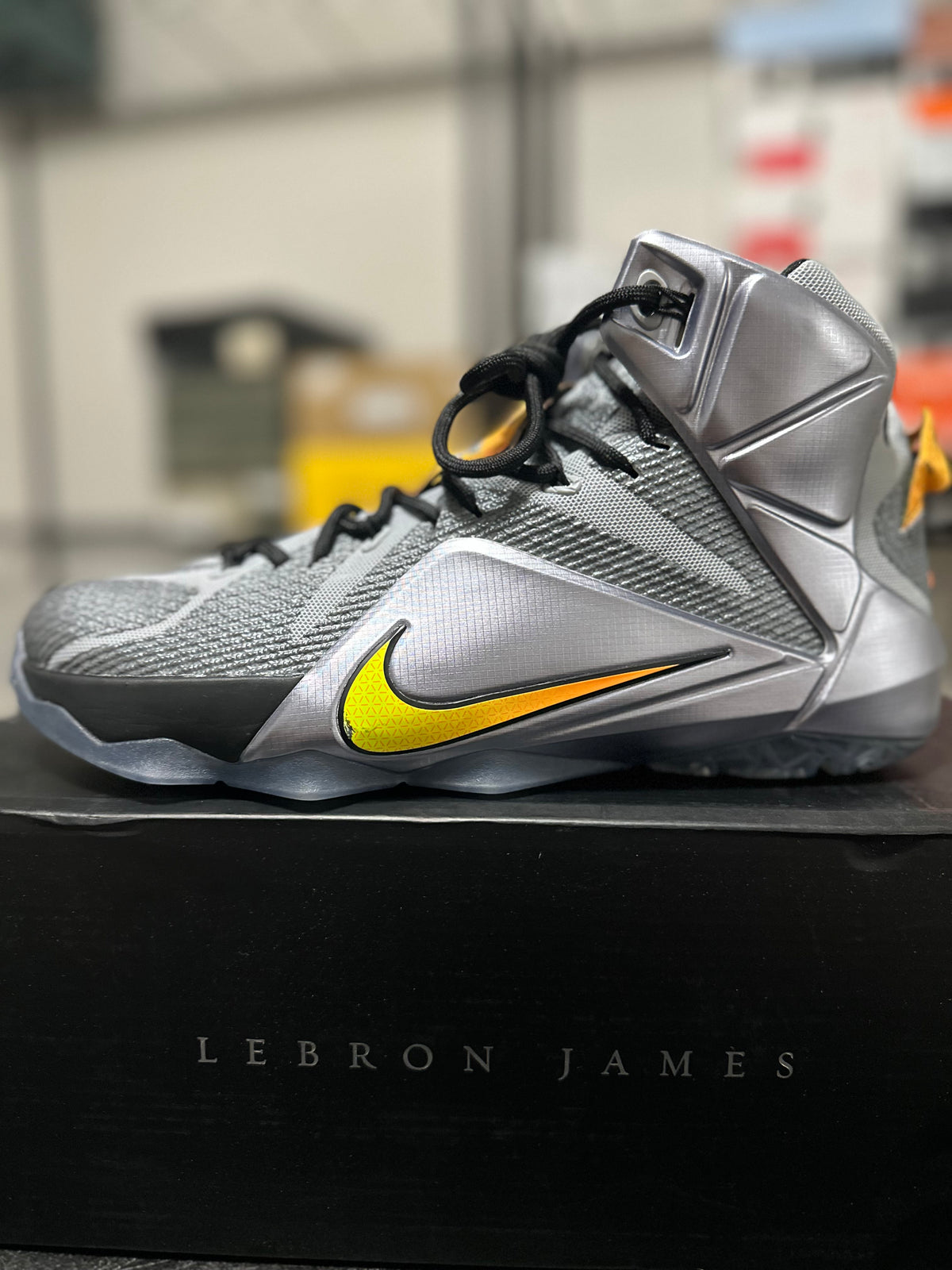 Size 10 - Lebron 12 Flight