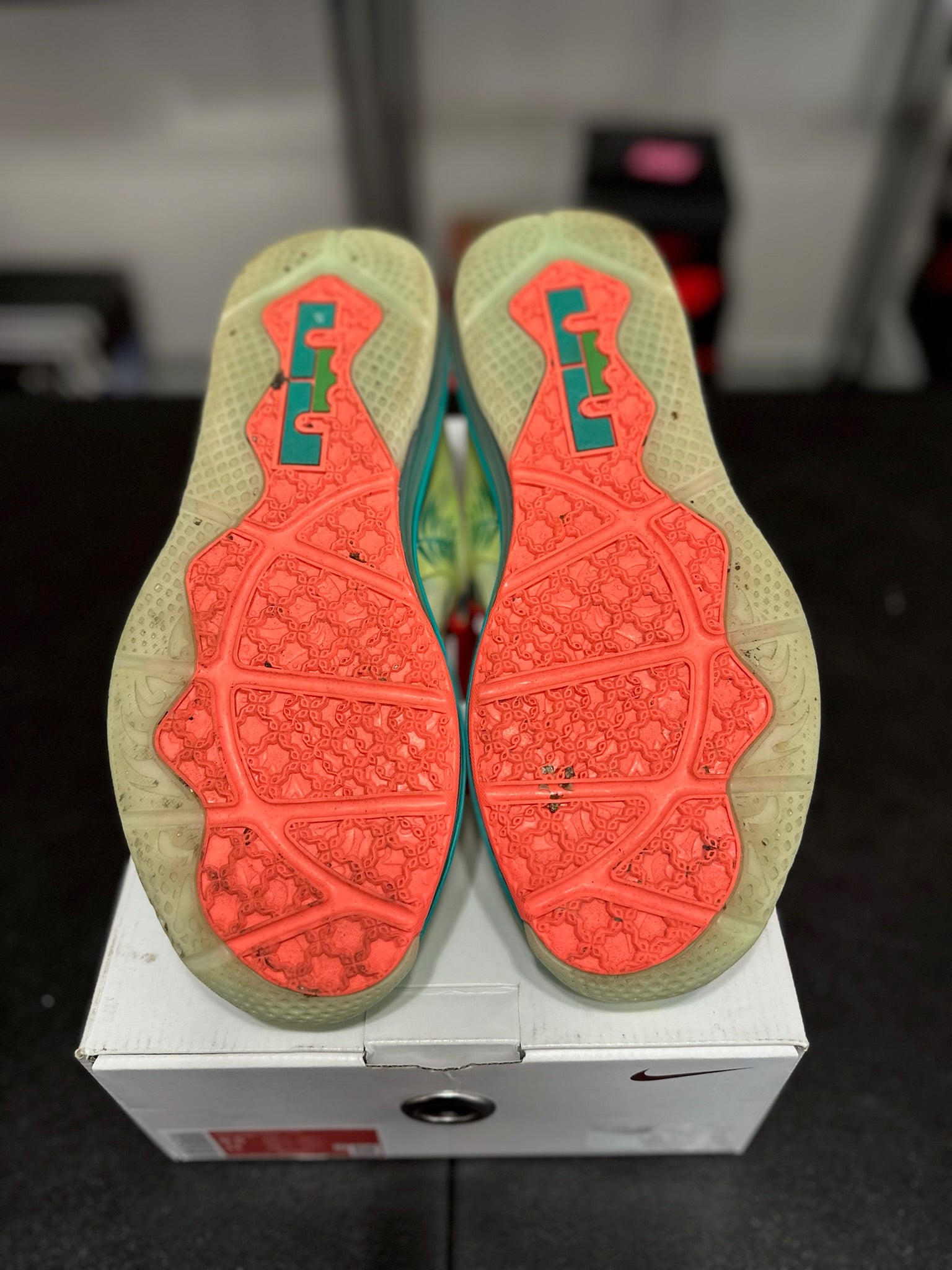 Size 9.5 - LeBron 9 low lebronald palmer