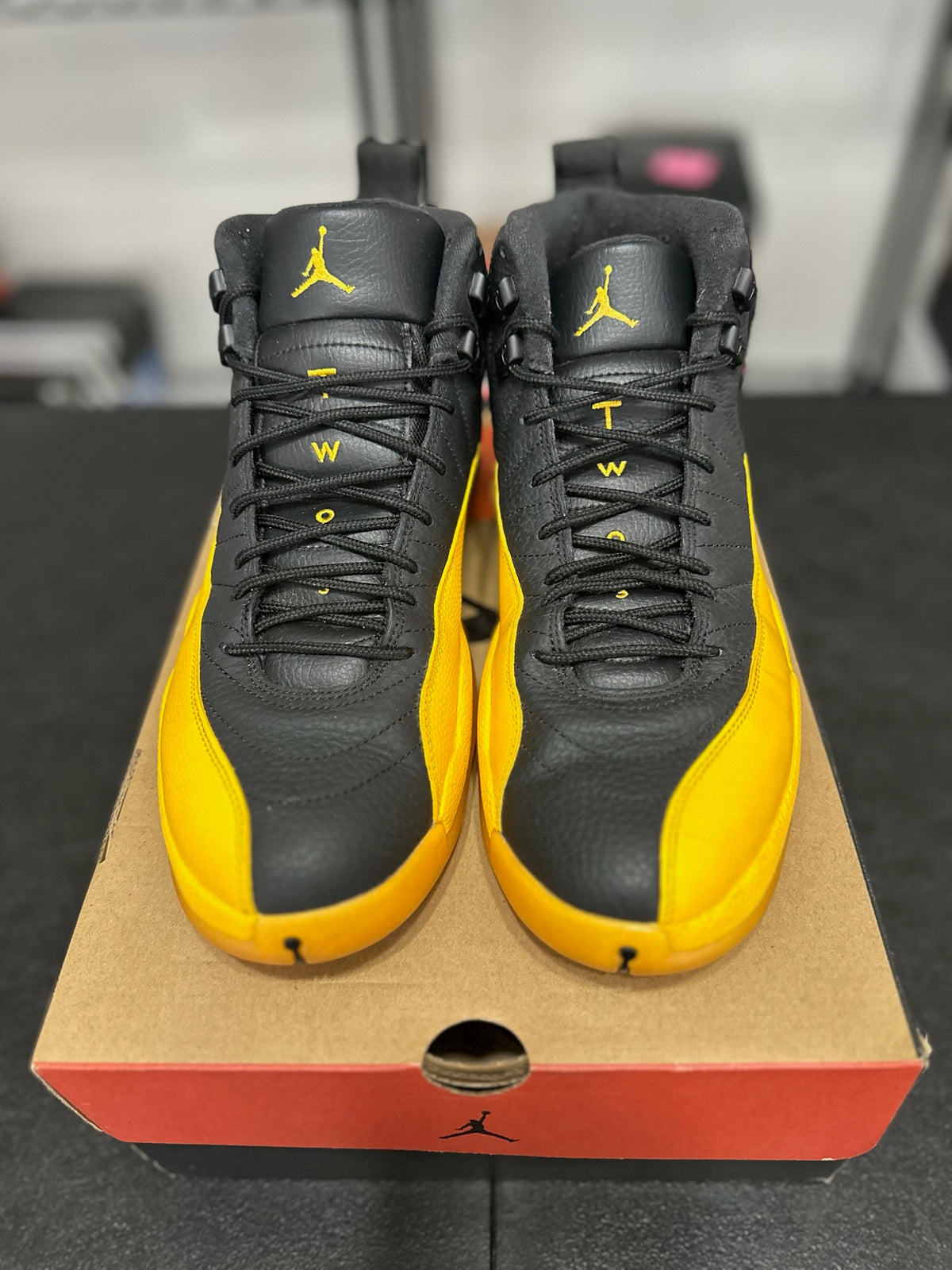 Size 12 - J12 Black university gold