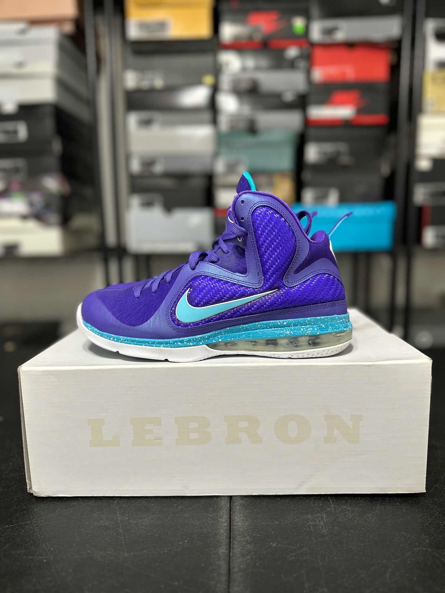 Size 9.5 - LeBron 9 Summit Lake Hornets