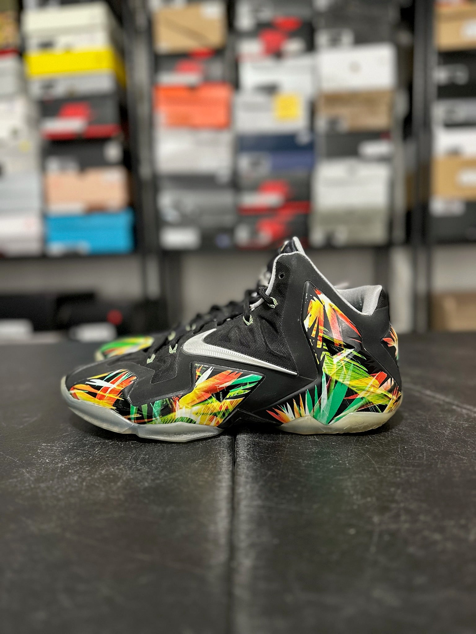 Size 10 - LeBron 11 Everglades