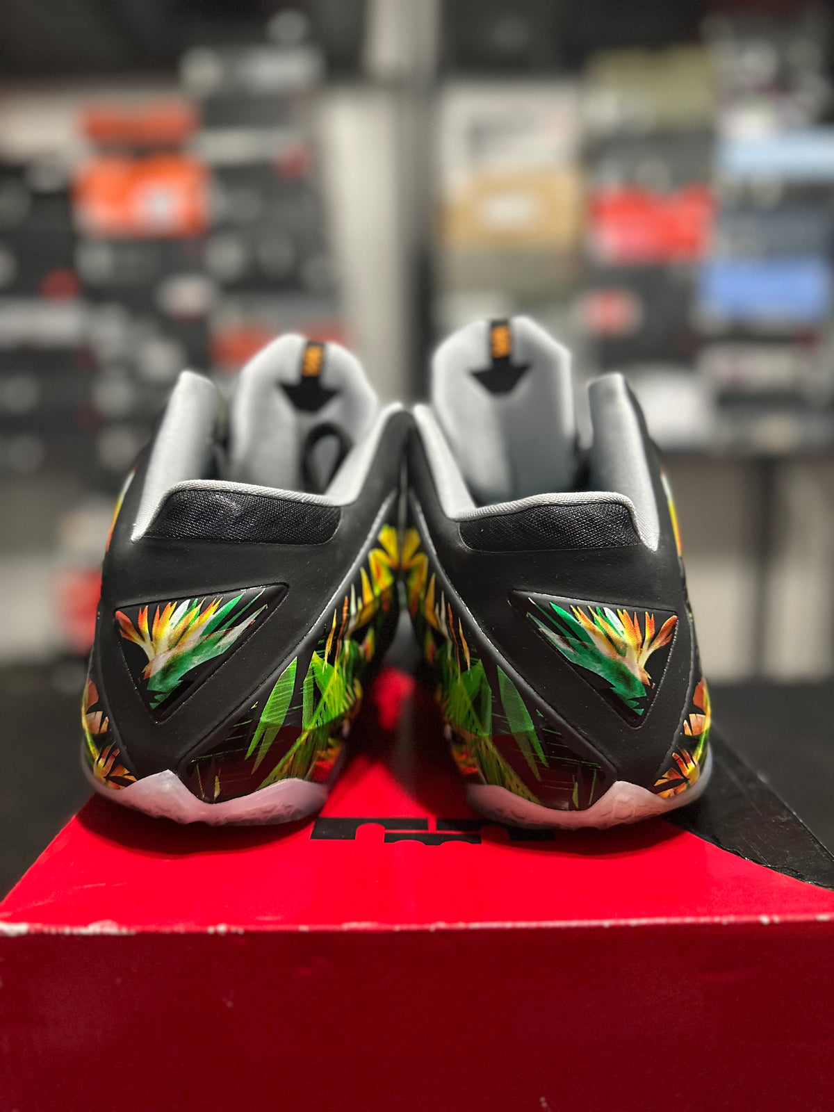 Size 11 - LeBron 11 Everglades