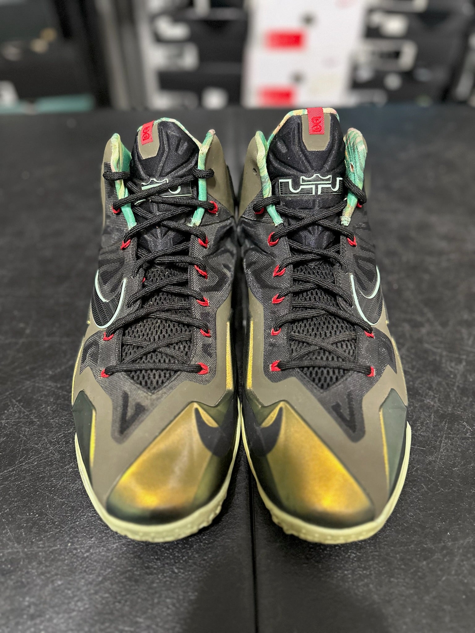 Size 12 - LeBron 11 Kings Pride