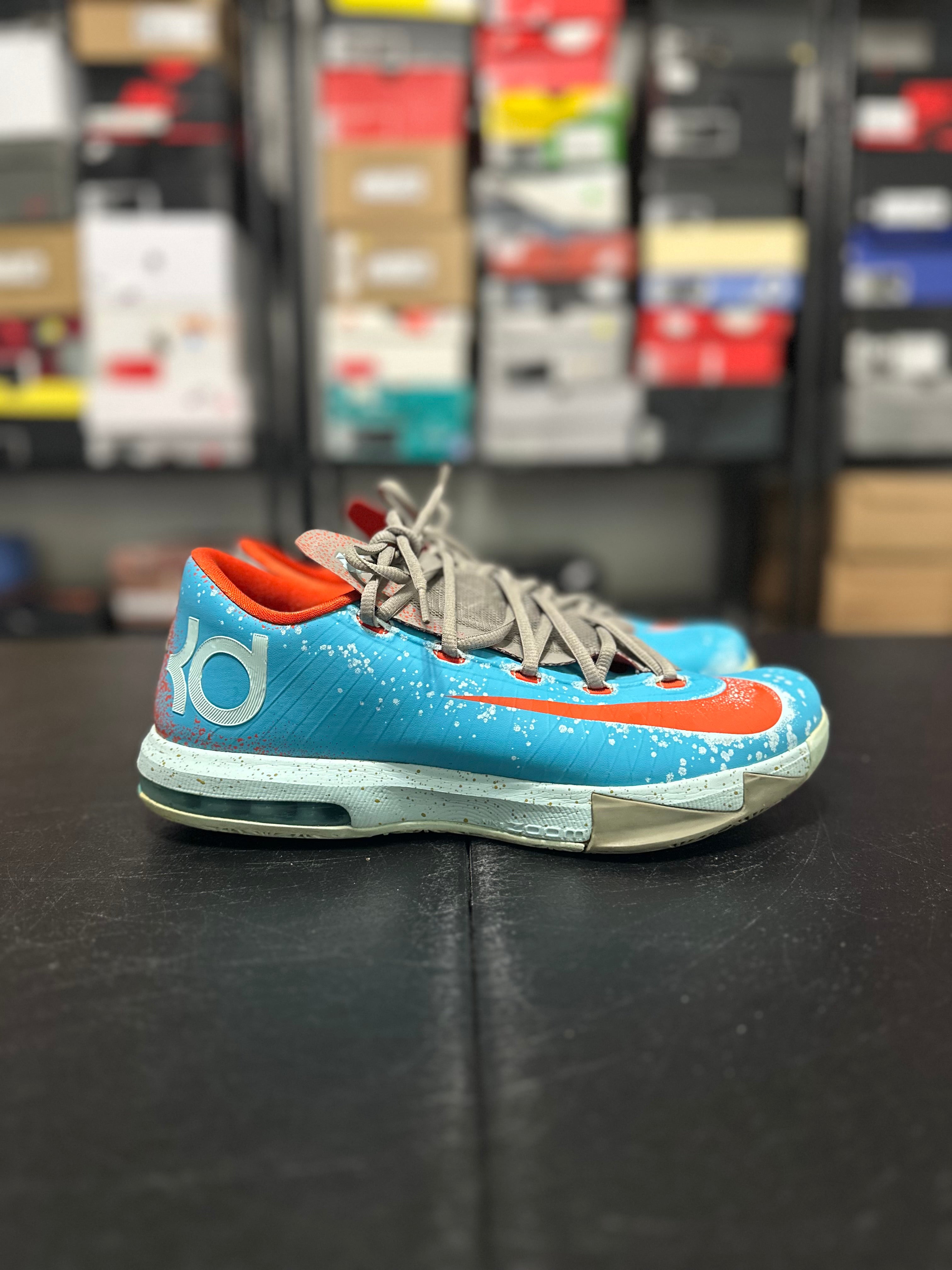 Size 10.5 - KD 6 Maryland blue crab