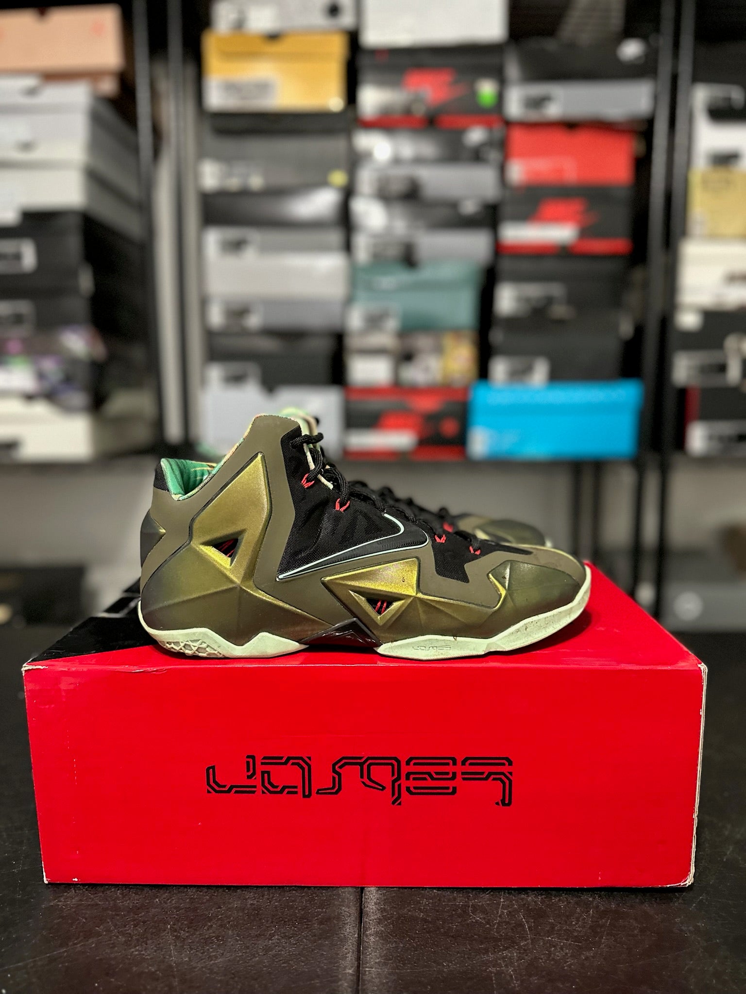 Size 10.5 - LeBron 11 King’s Pride