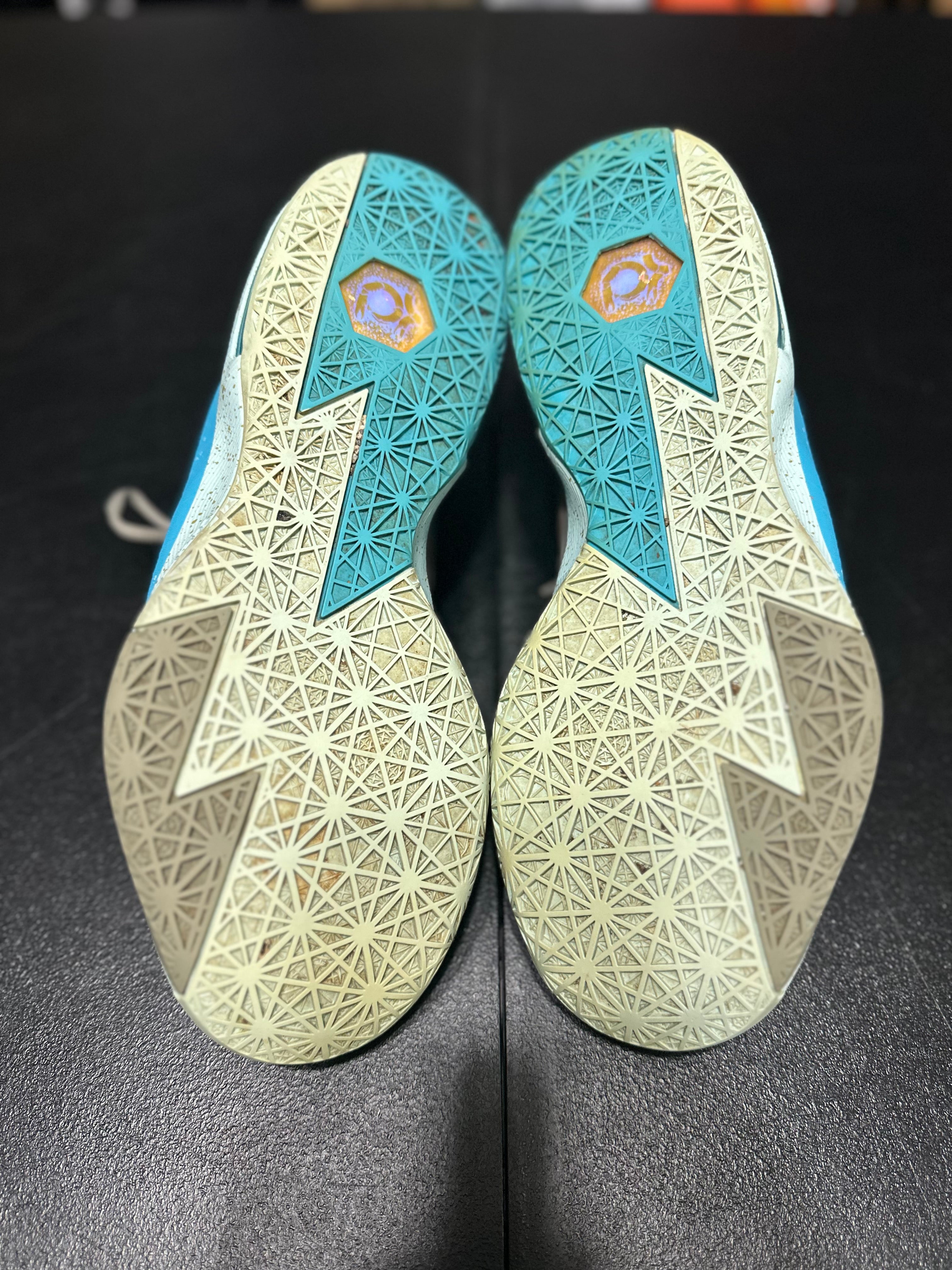 Size 10.5 - KD 6 Maryland blue crab