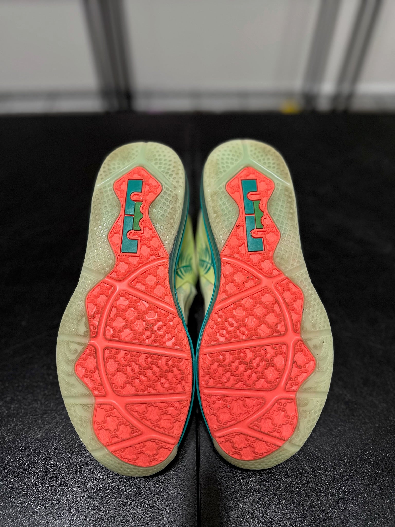 Size 9 - LeBron 9 Low LeBronald Palmer