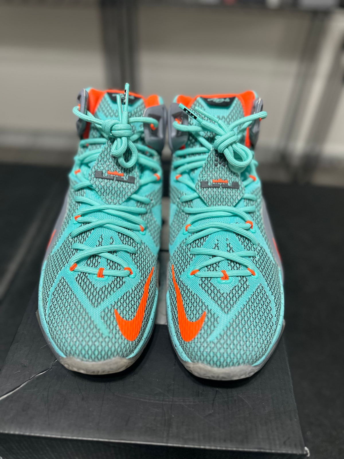 Size 10 - LeBron 12 NSRL