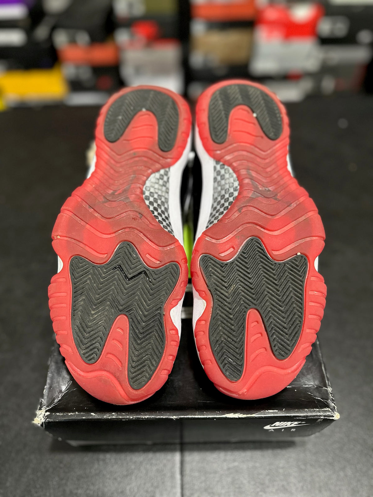Size 10.5 - j11 concord bred