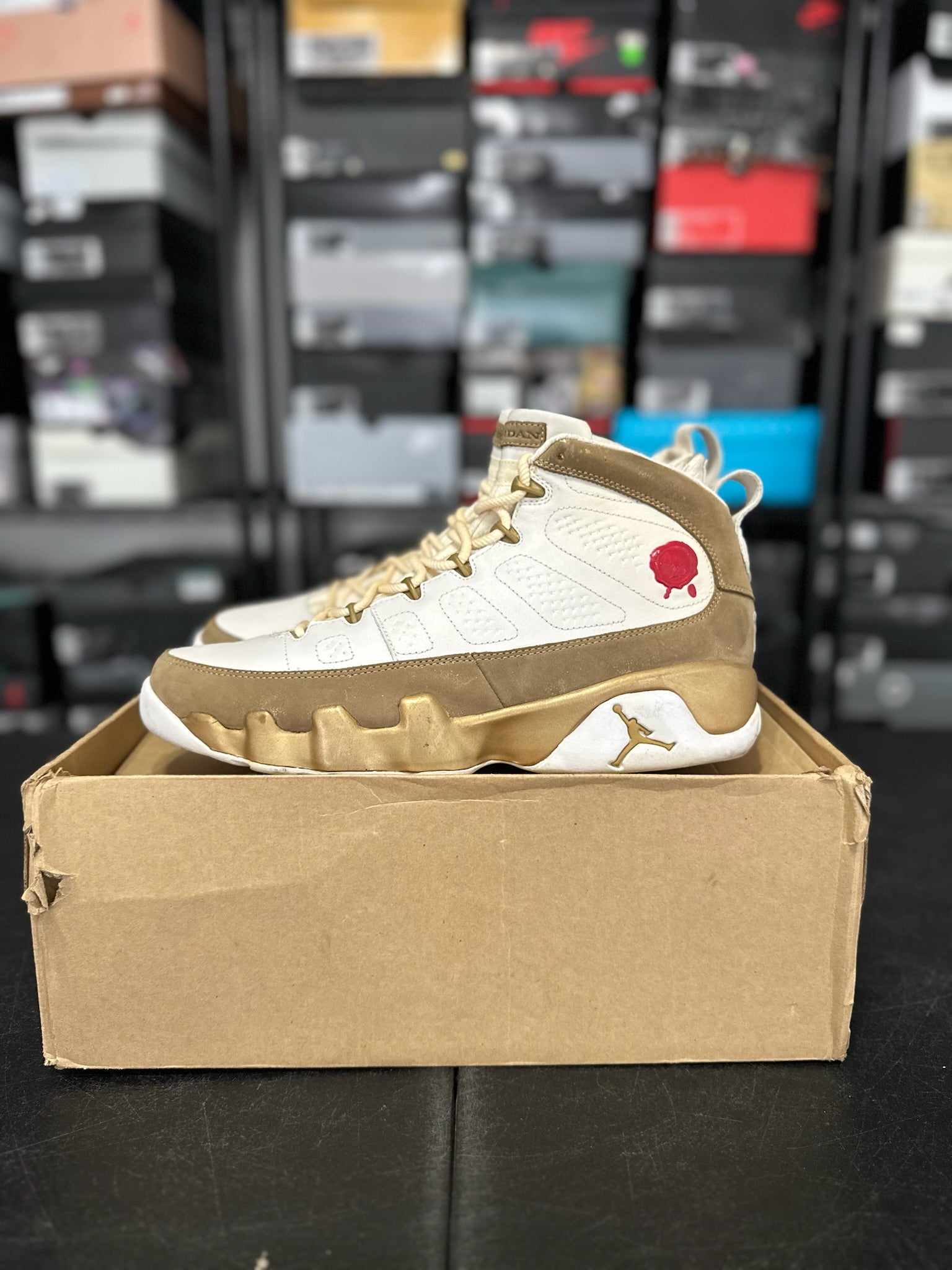 Size 12 - J9 Premio Bin 23