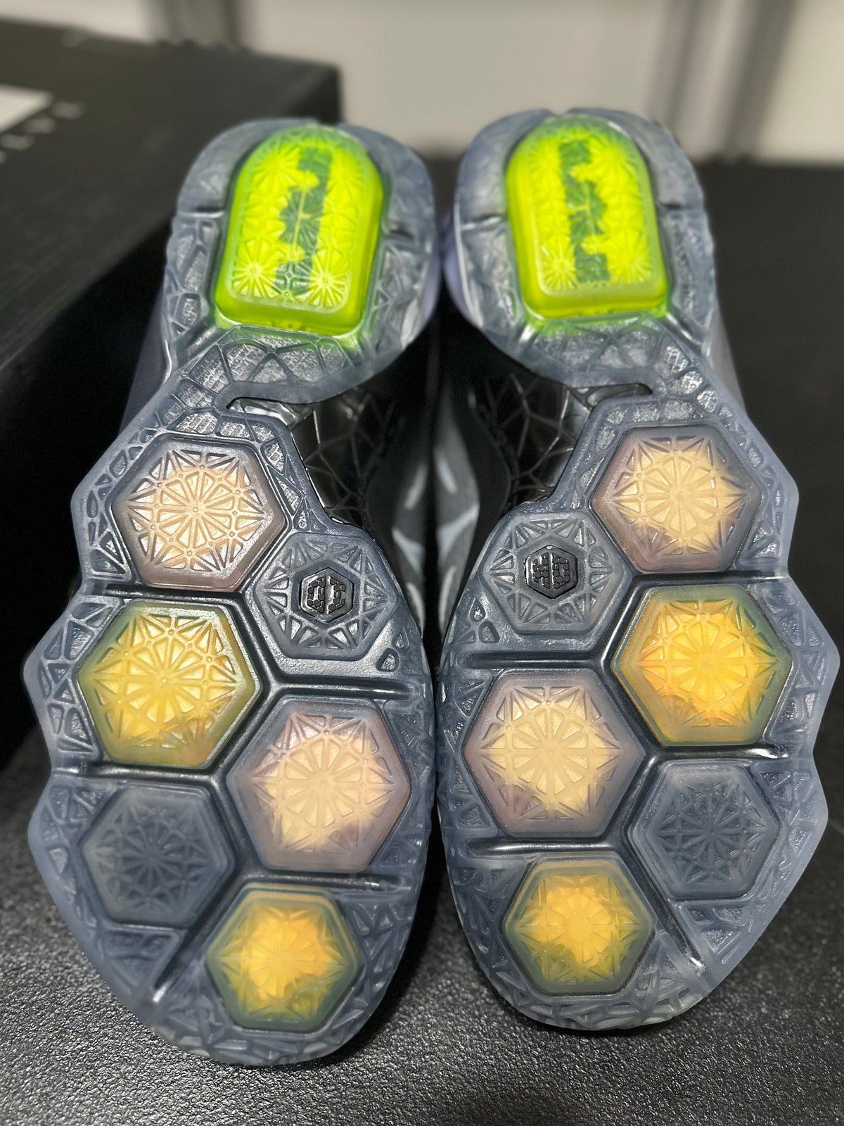 Size 10 - Lebron 12 Flight