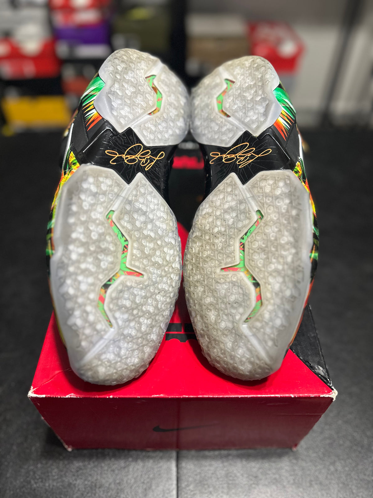 Size 11 - LeBron 11 Everglades
