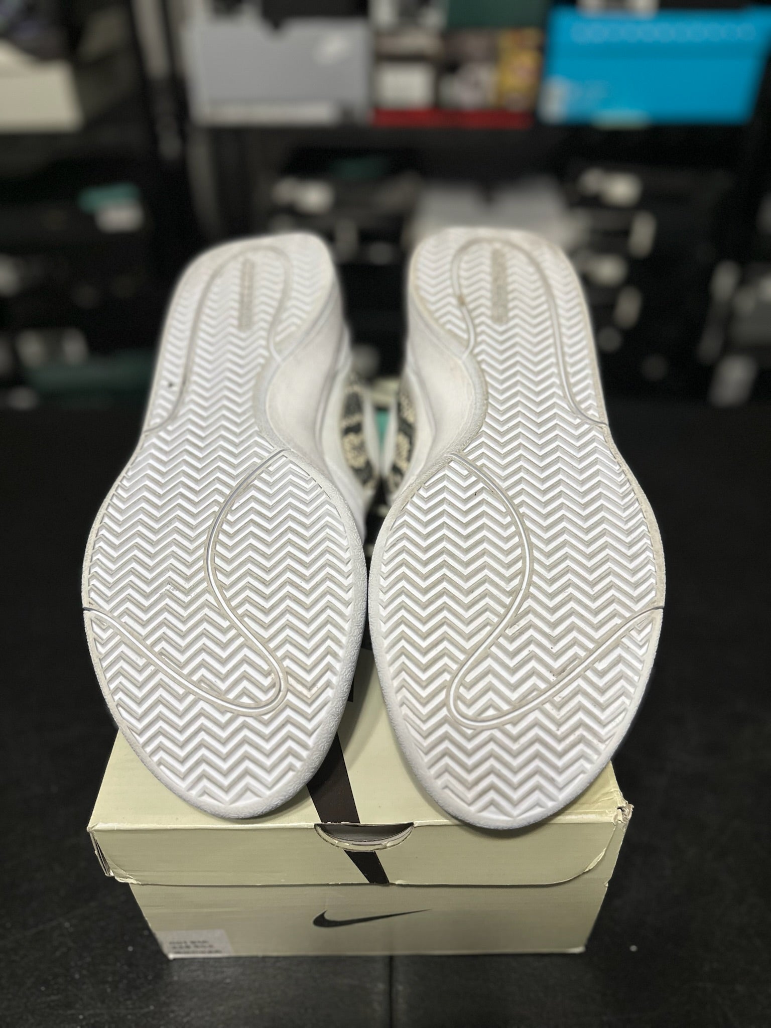 Size 13 - Book 1 Rattlesnake