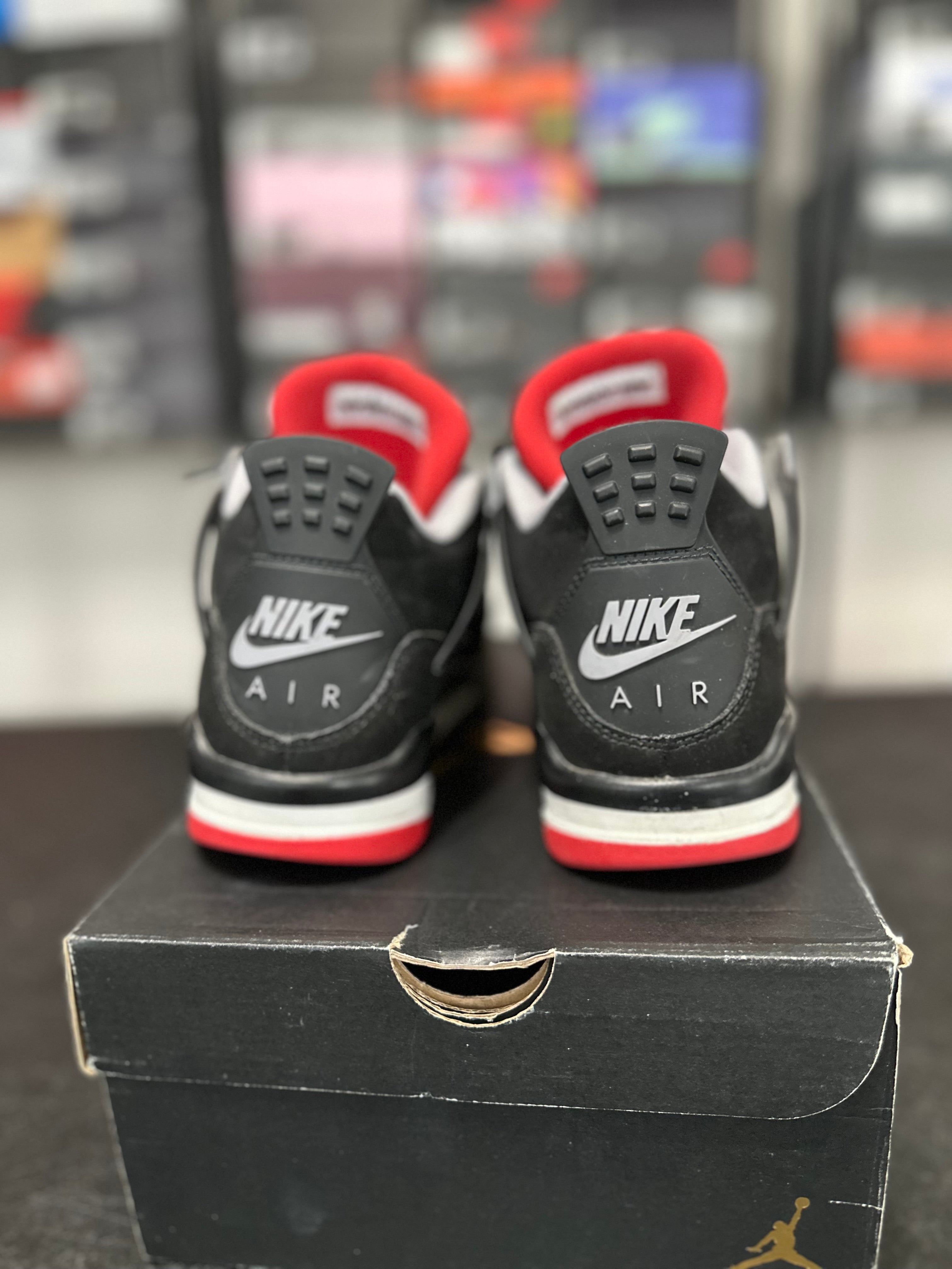 Size 5y - J4 bred 2016