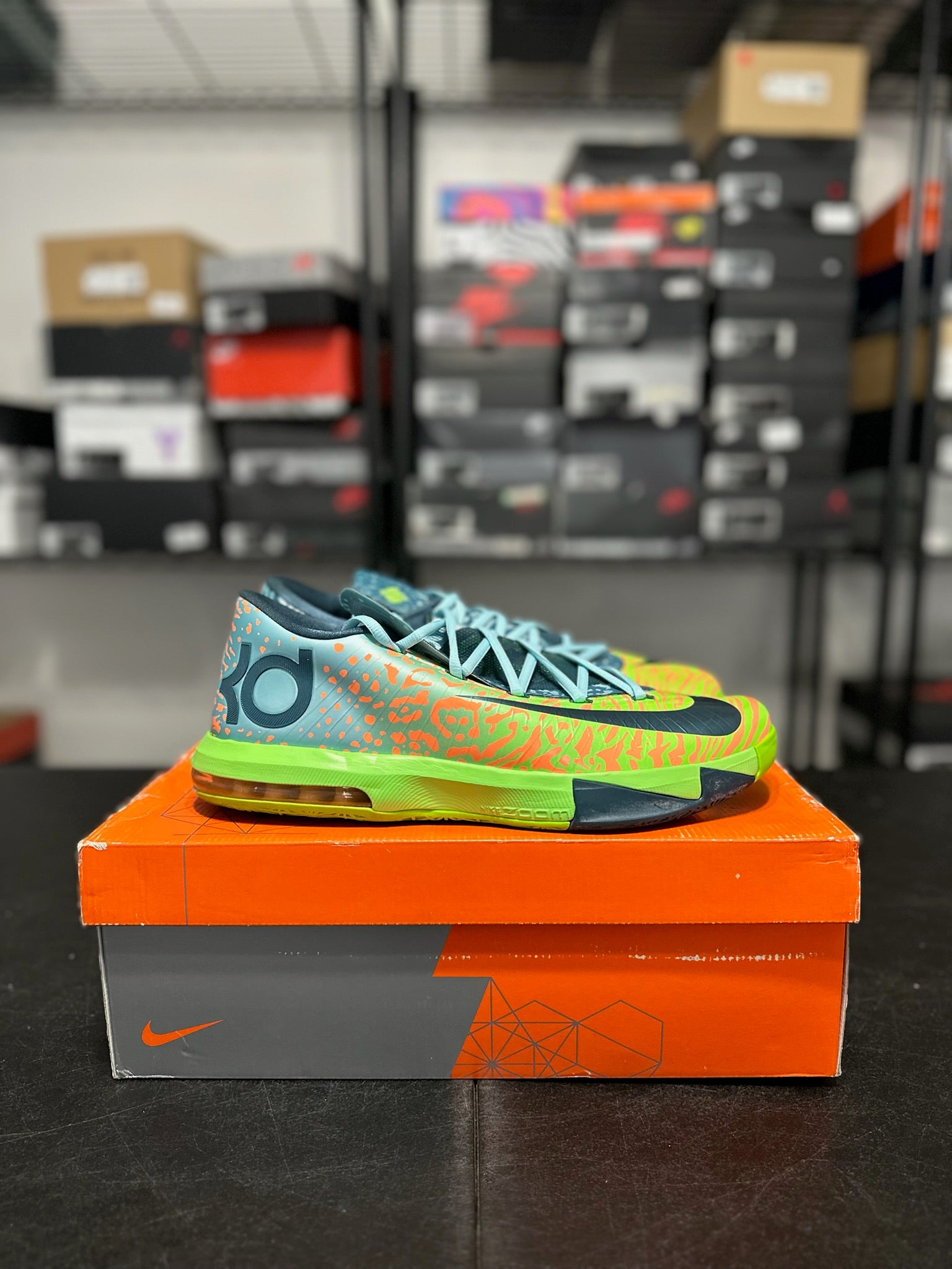 Size 13 - KD 6 Liger