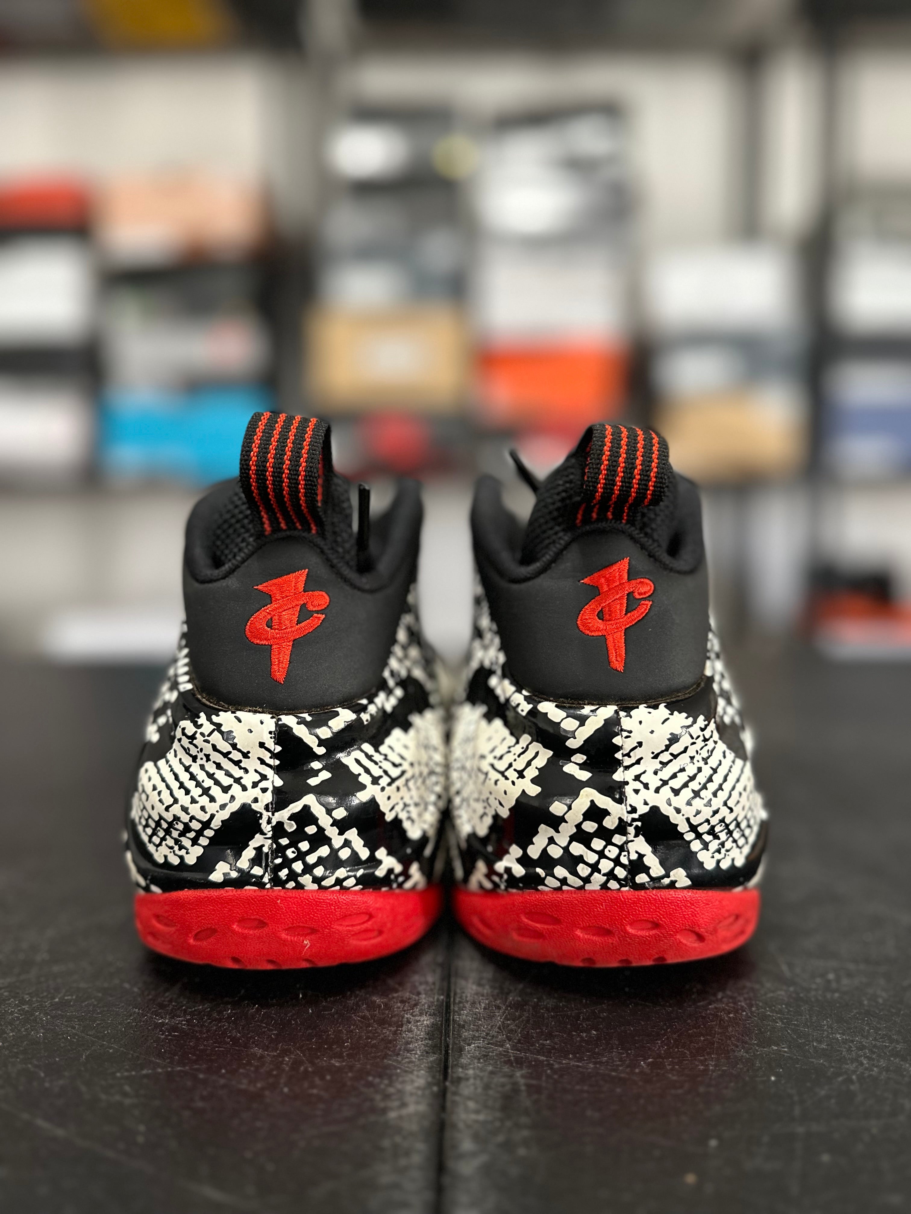 Size 12 - Foamposite albino snakeskin