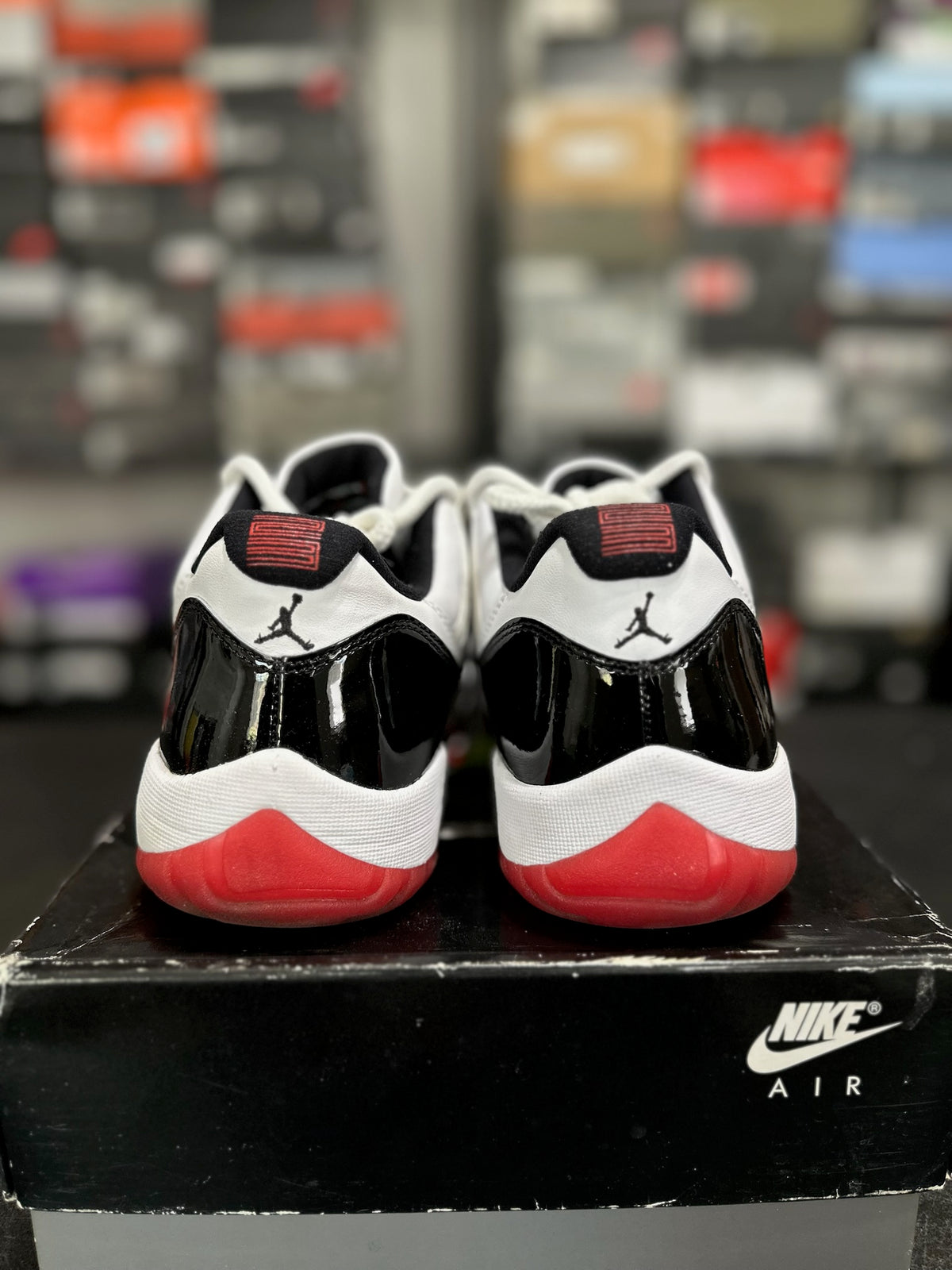Size 10.5 - j11 concord bred