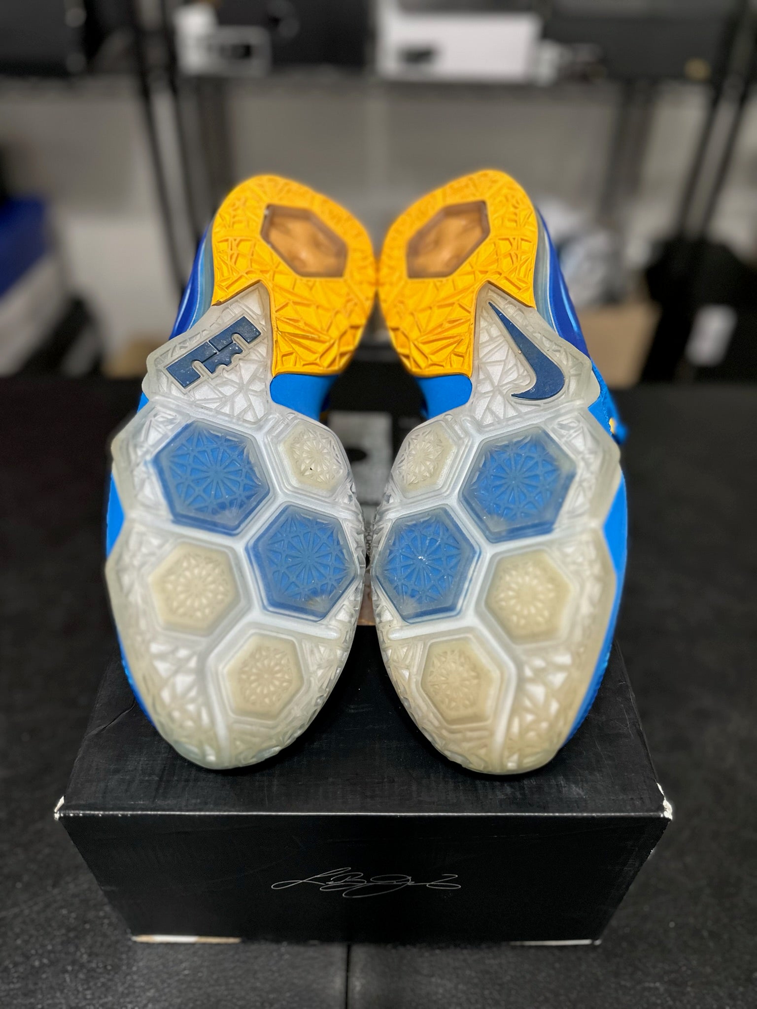 Size 11 - LeBron 12 Low Entourage