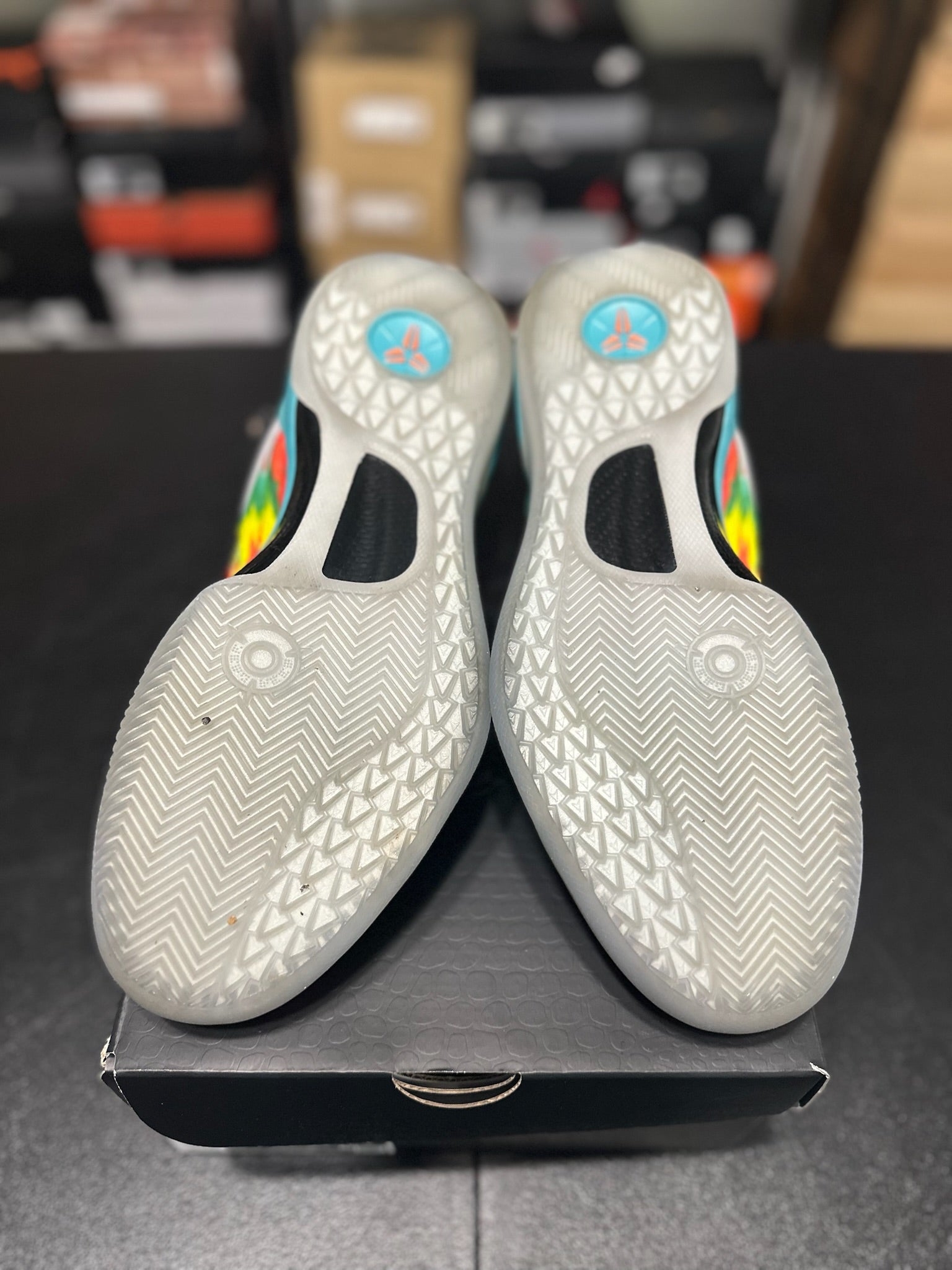 Size 10.5 - Kobe 8 Protro Venice Beach