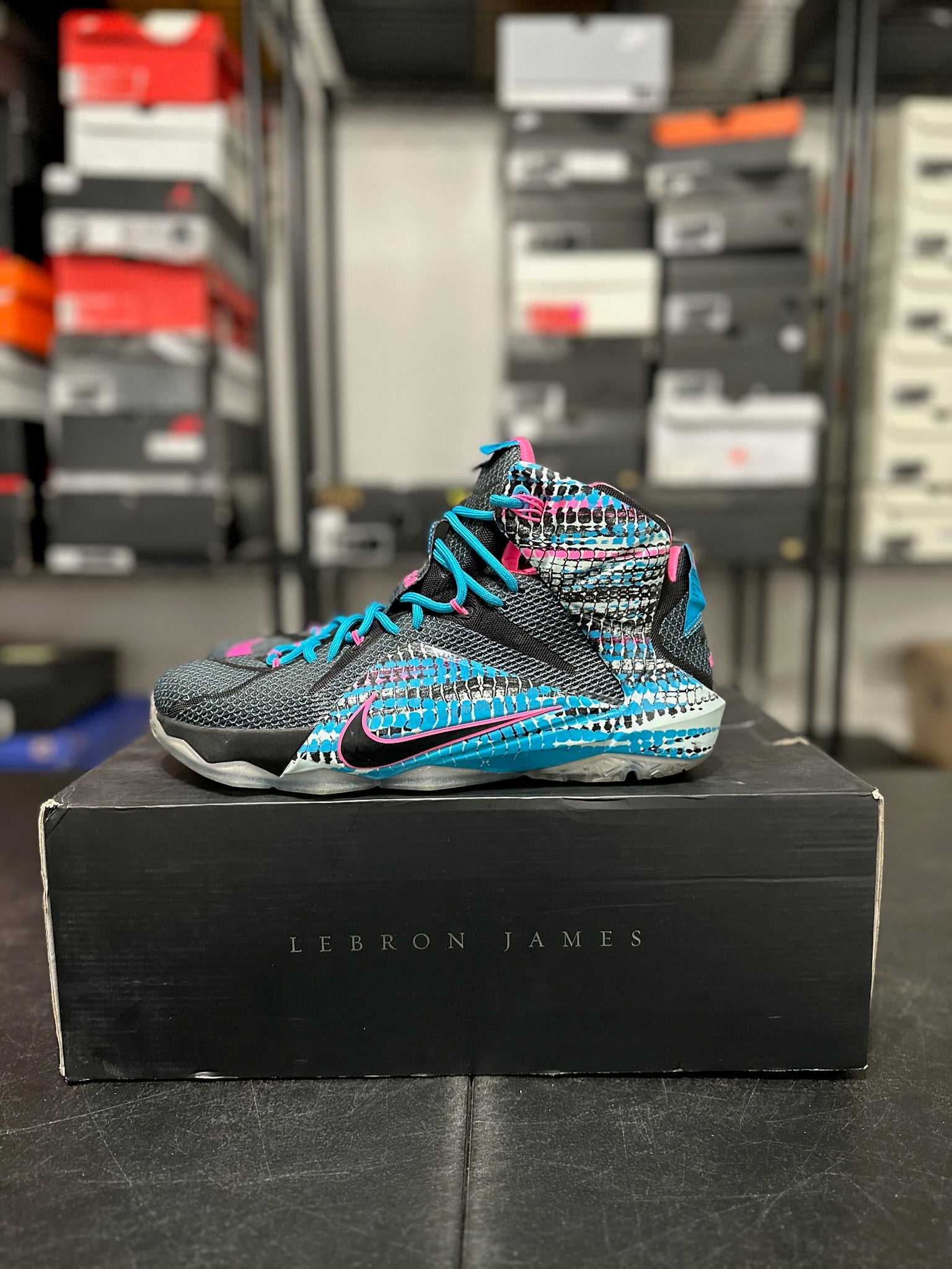 Size 11 - LeBron 12 23 Chromosomes