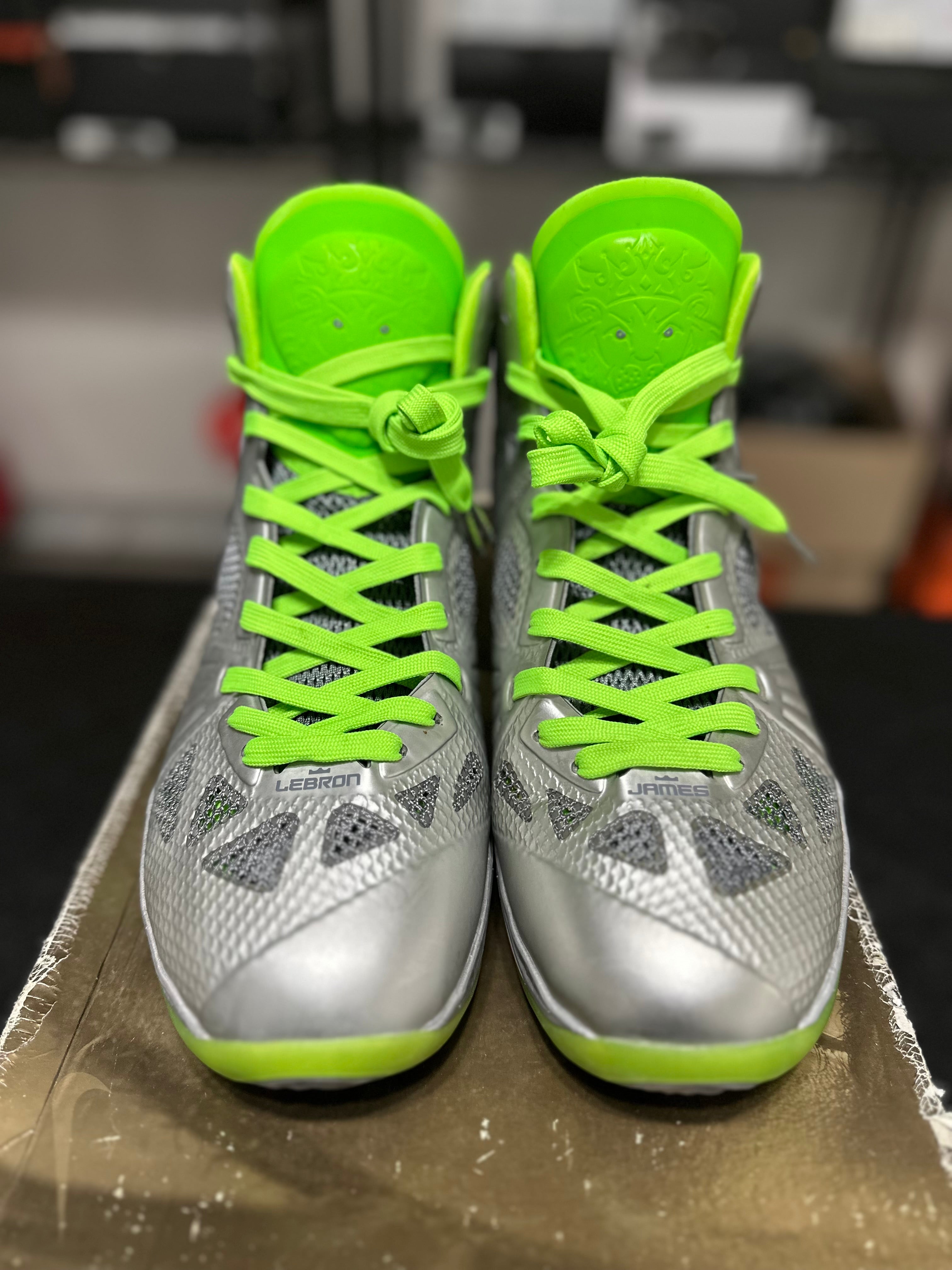 Size 10 - LeBron 8 dunkman