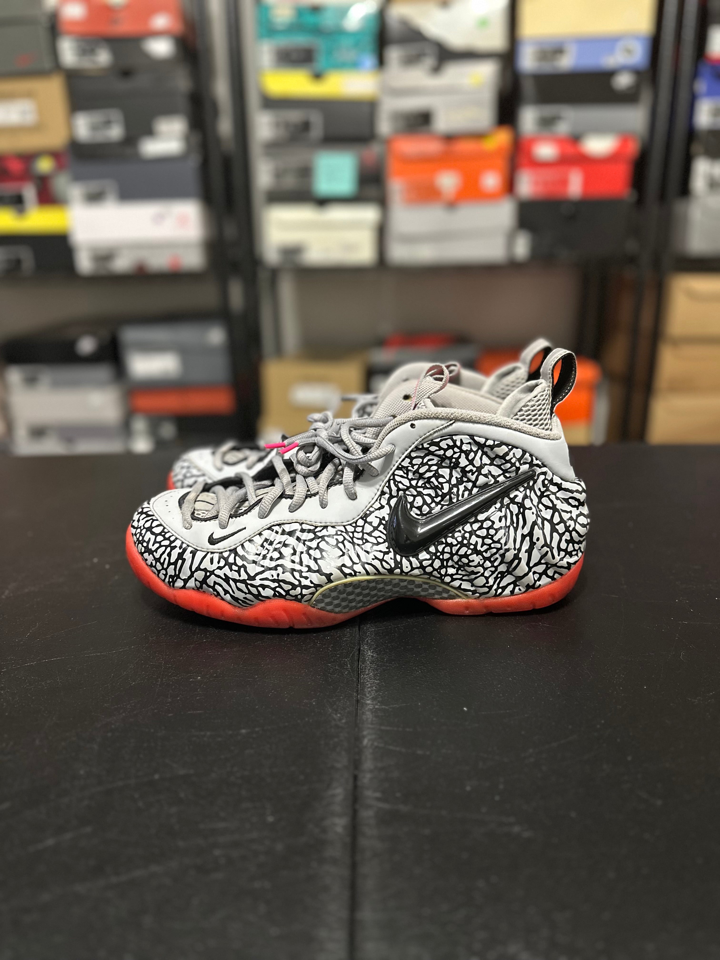 Size 12 - Foamposite pink elephant