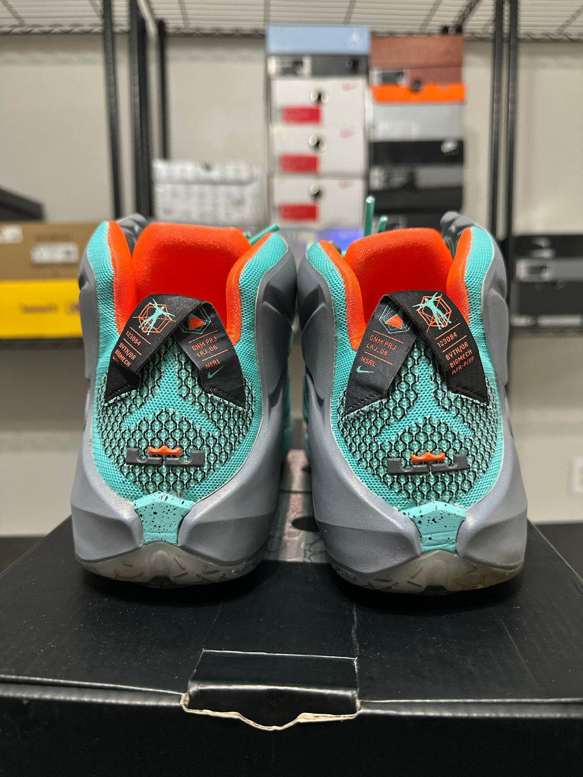 Size 10 - LeBron 12 NSRL